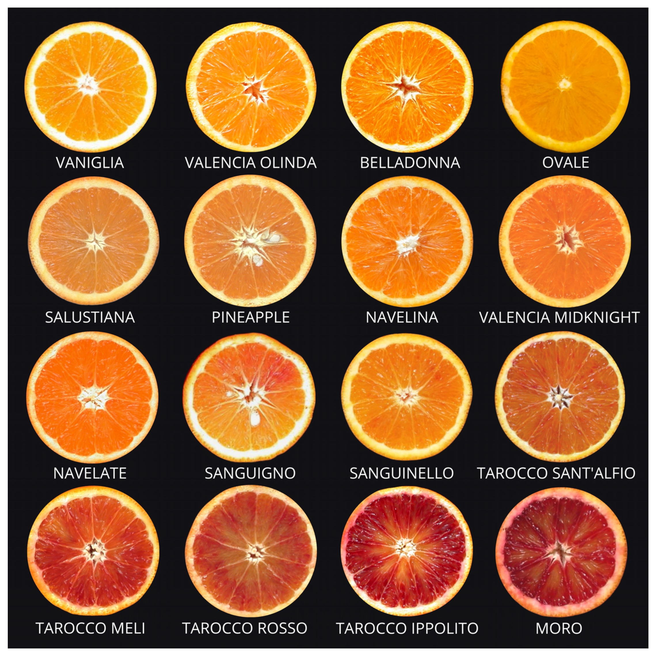 Agriculture 13 00264 g002