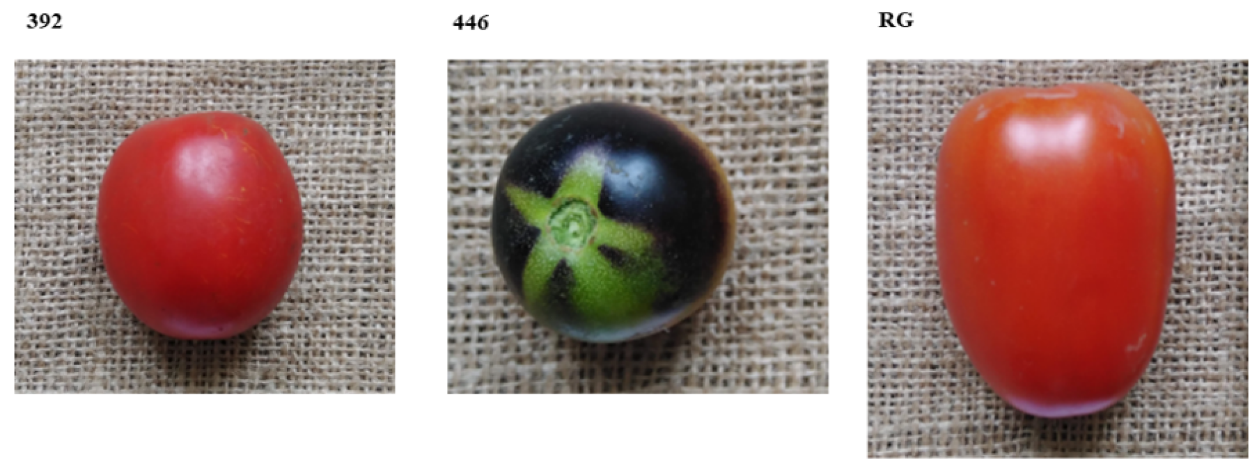 Agriculture 13 00280 g001 Agriculture 13 00280 g001