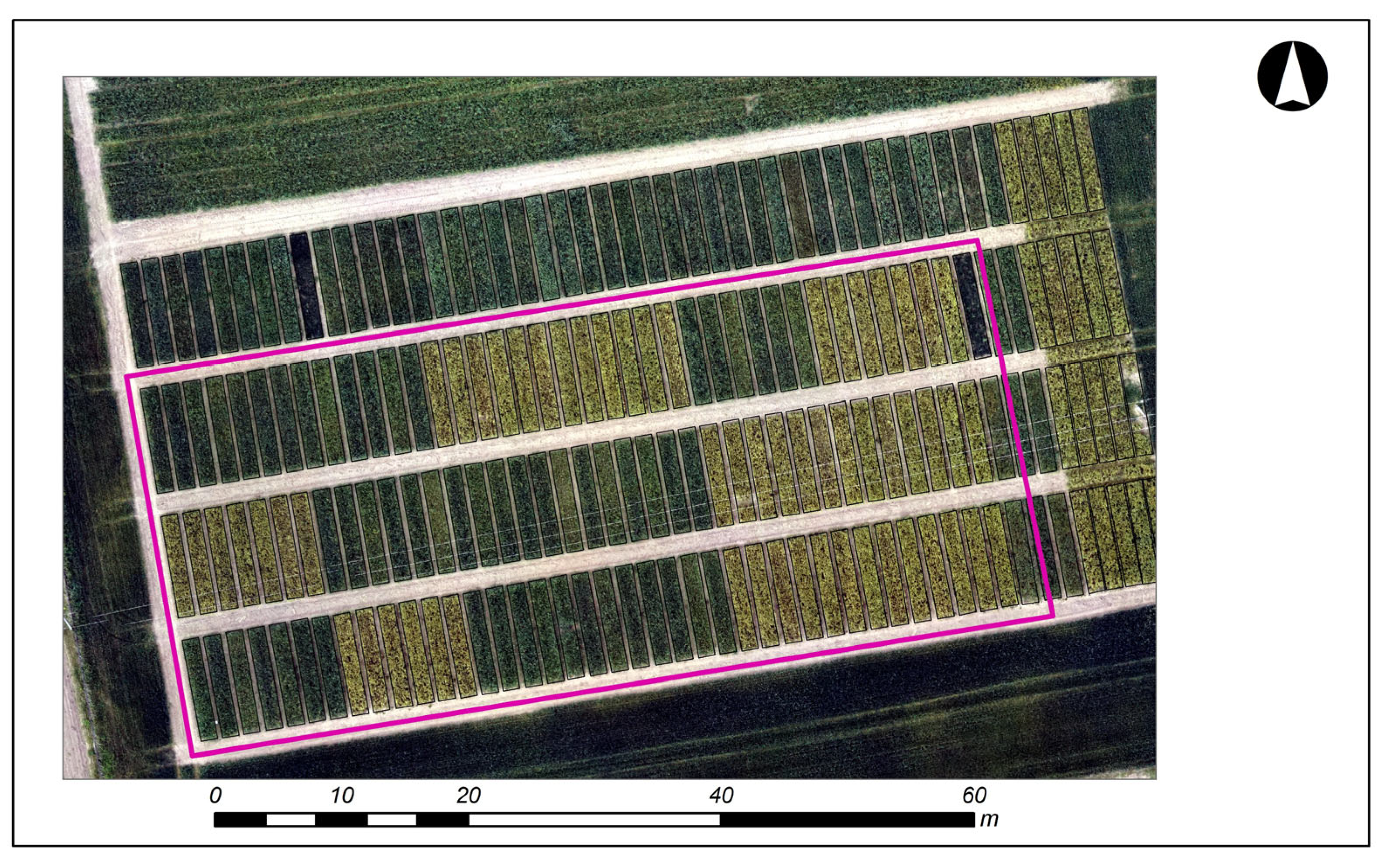 Agriculture 13 00282 g003