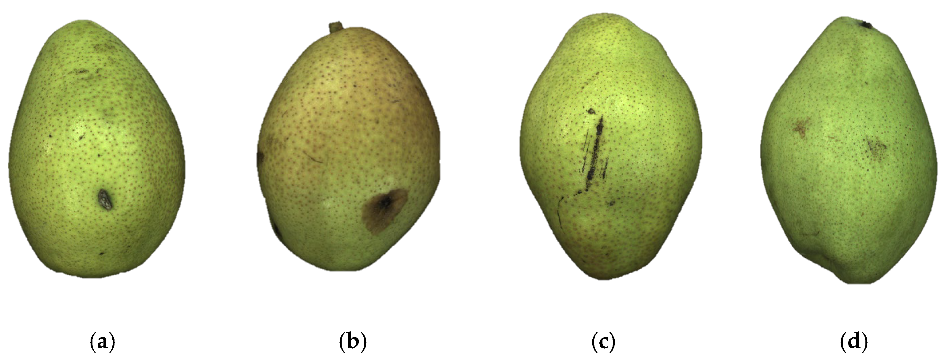 Agriculture 13 00290 g005 550
