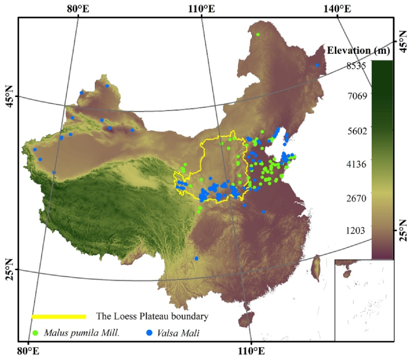 Agriculture 13 00291 g001 Agriculture 13 00291 g001