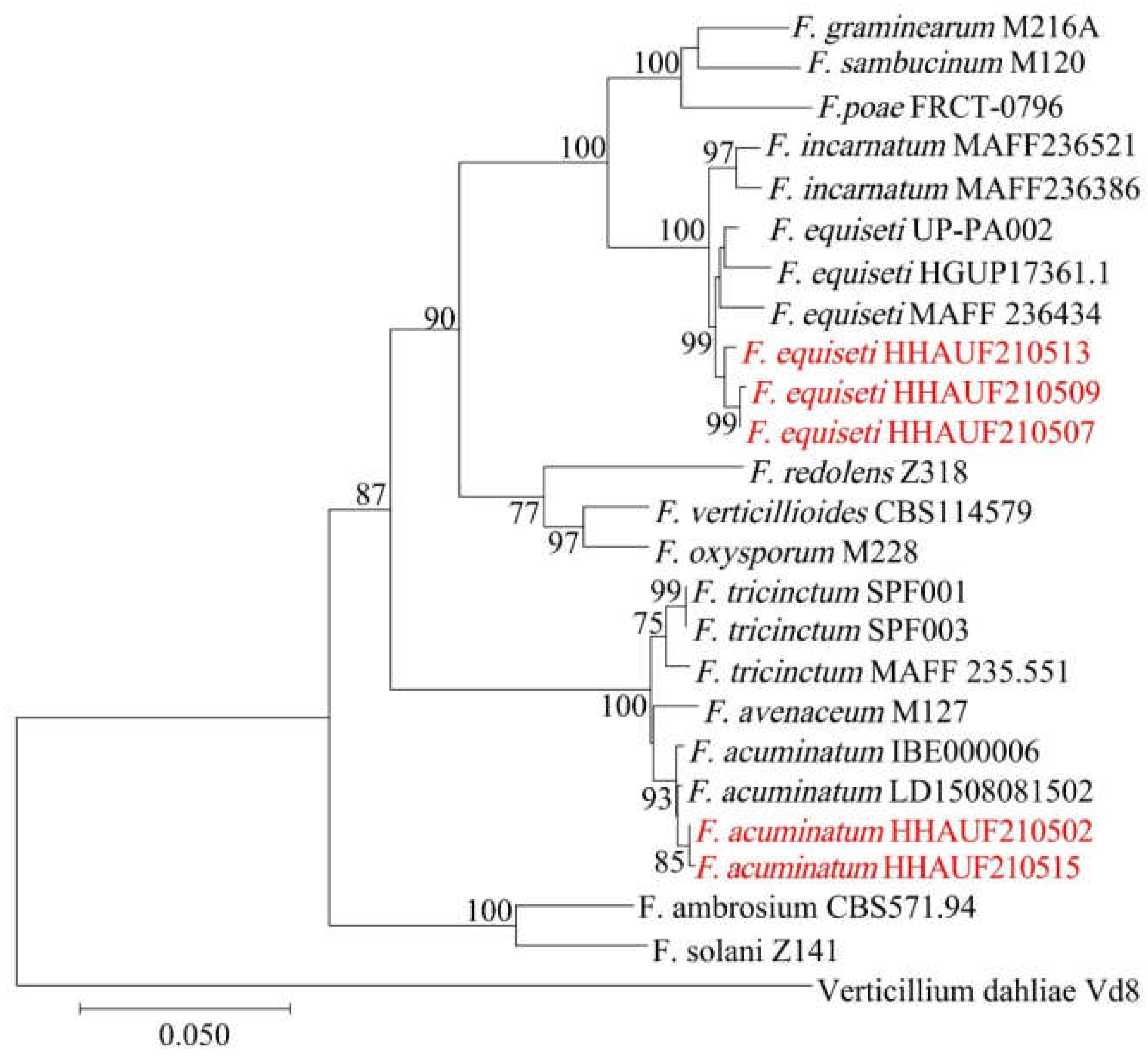 Agriculture 13 00301 g003 Agriculture 13 00301 g003