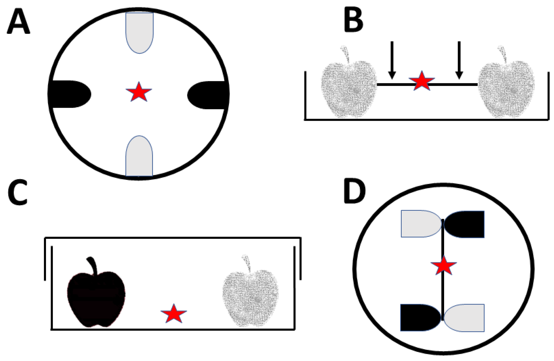 Agriculture 13 00311 g001 Agriculture 13 00311 g001