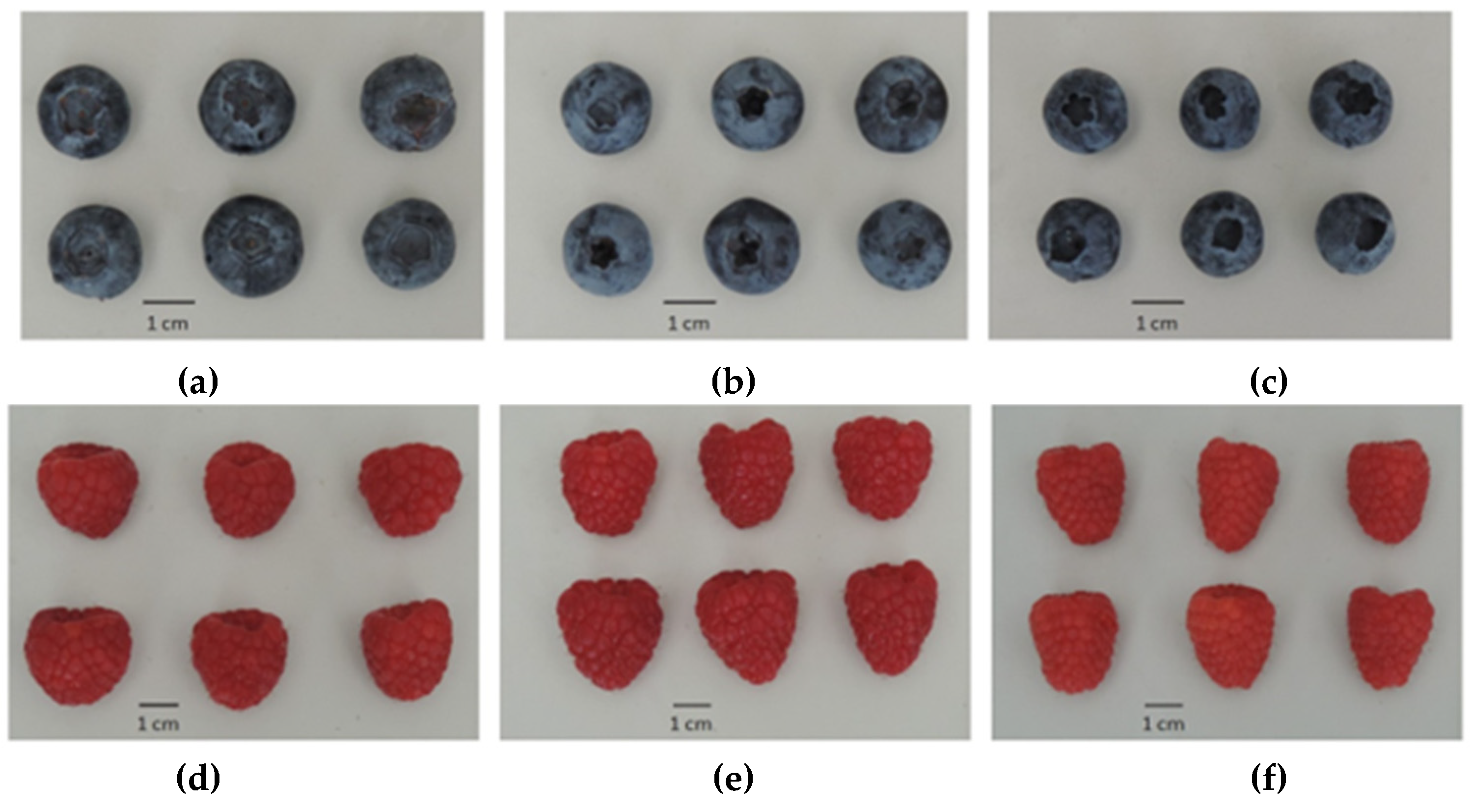 Agriculture 13 00314 g001 Agriculture 13 00314 g001