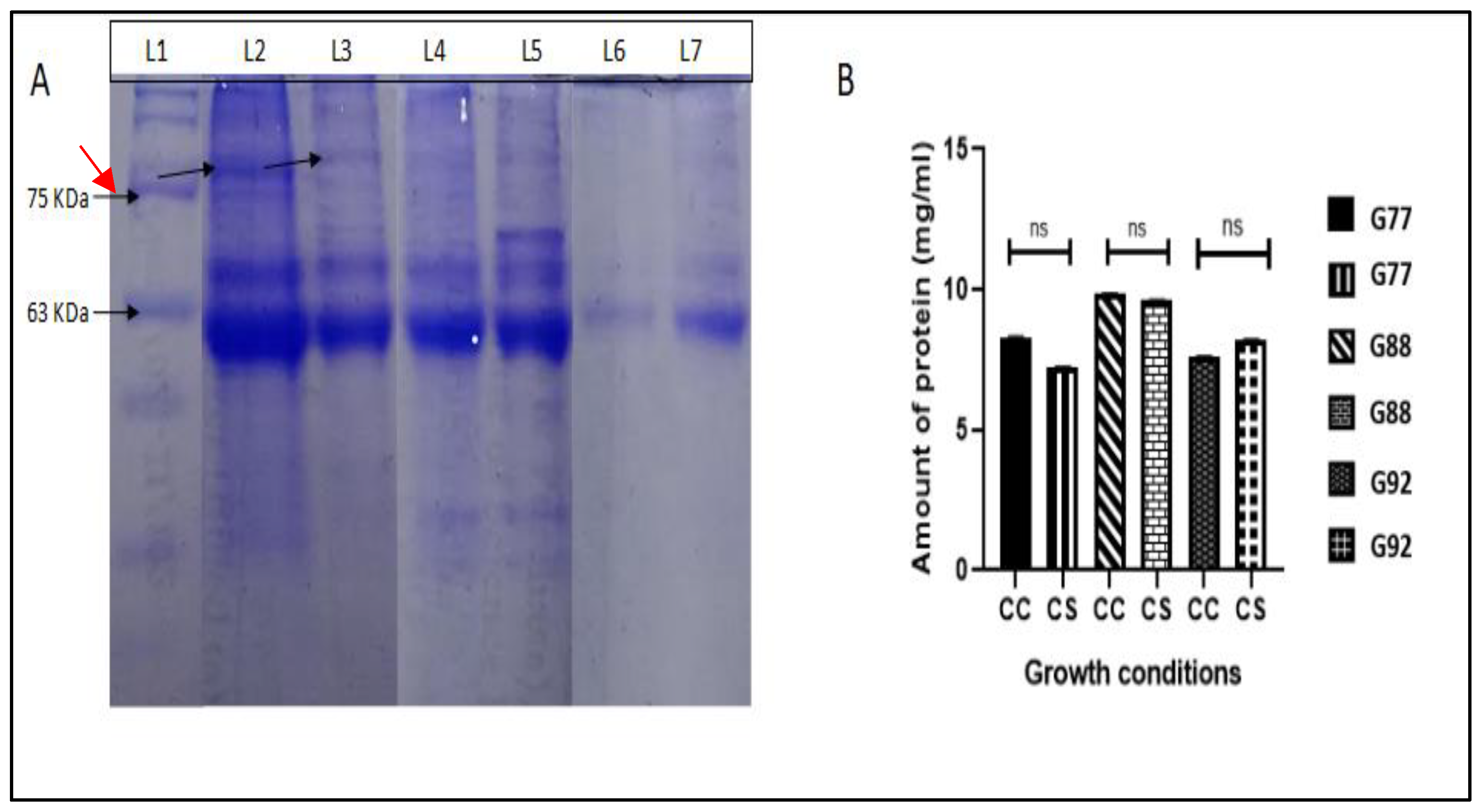 Agriculture 13 00315 g007