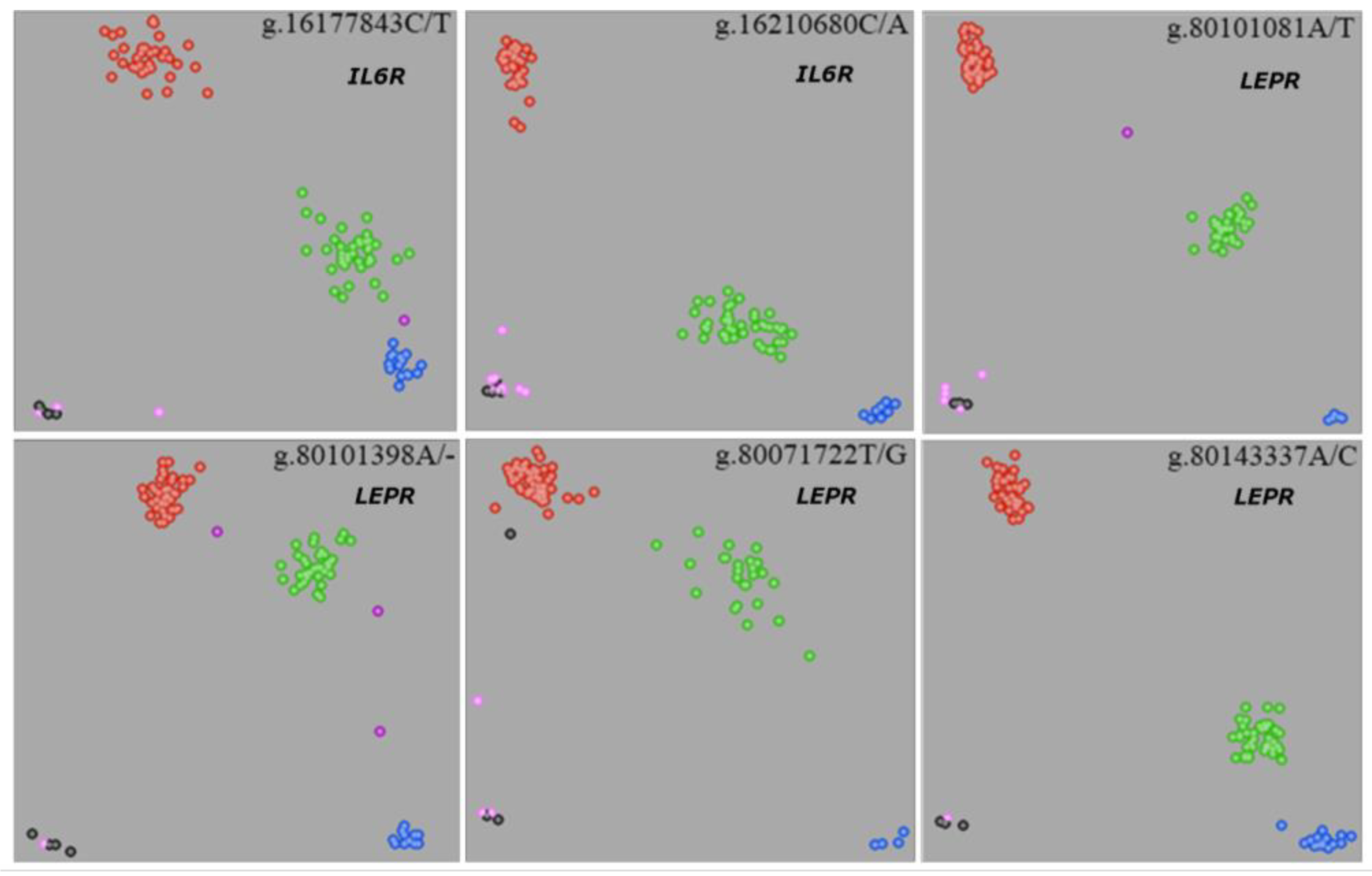 Agriculture 13 00321 g001 Agriculture 13 00321 g001