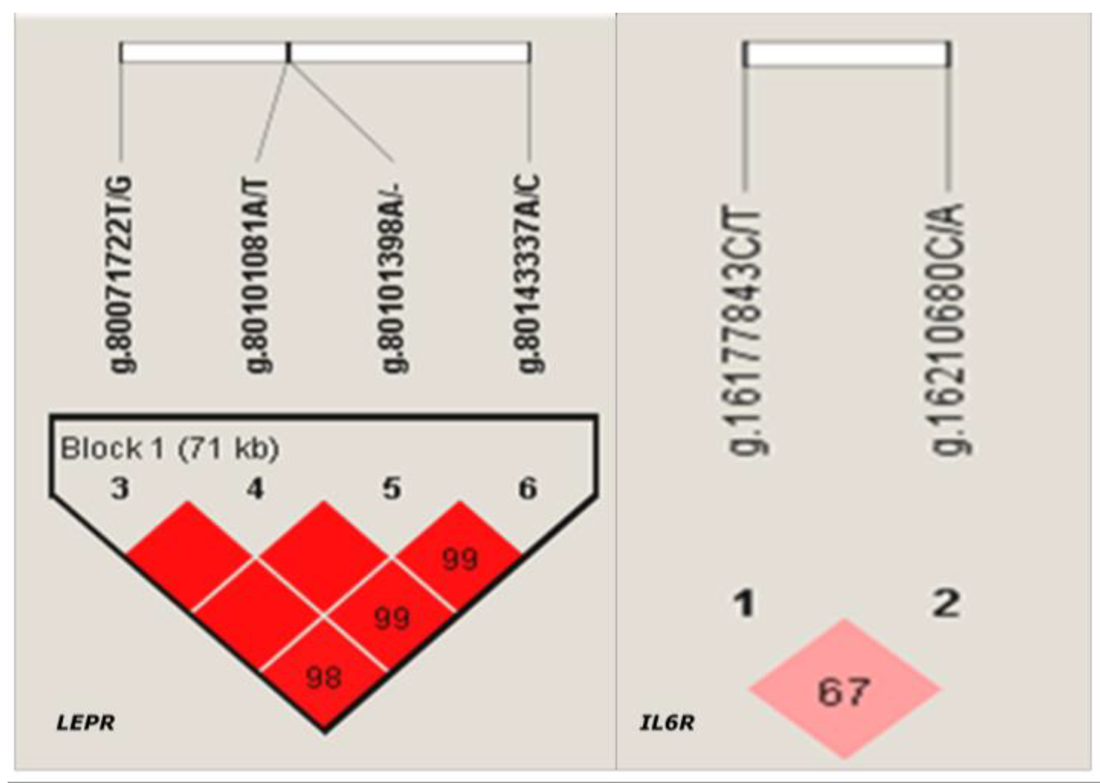 Agriculture 13 00321 g002 Agriculture 13 00321 g002