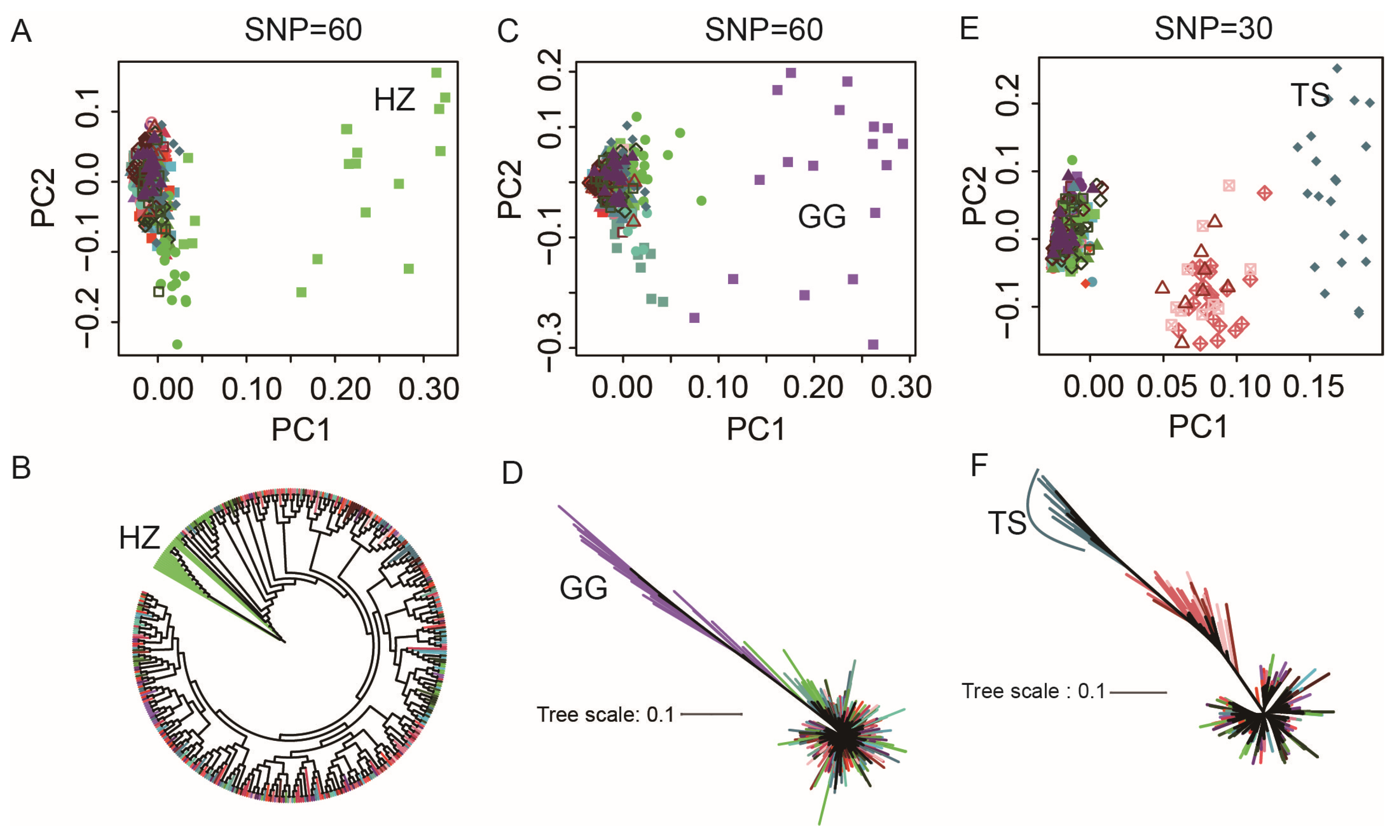 Agriculture 13 00322 g006 Agriculture 13 00322 g006