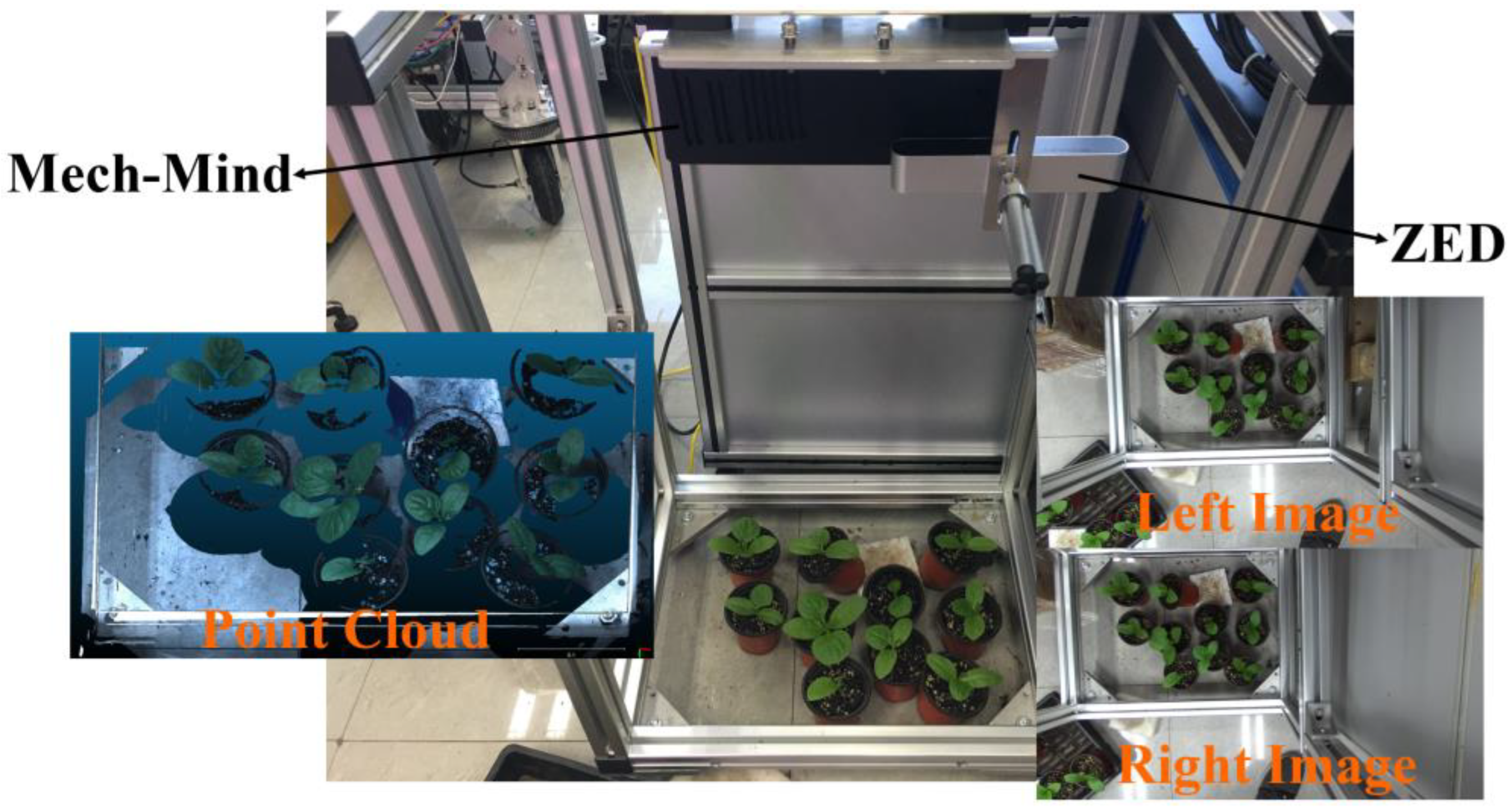 Agriculture 13 00330 g001 Agriculture 13 00330 g001