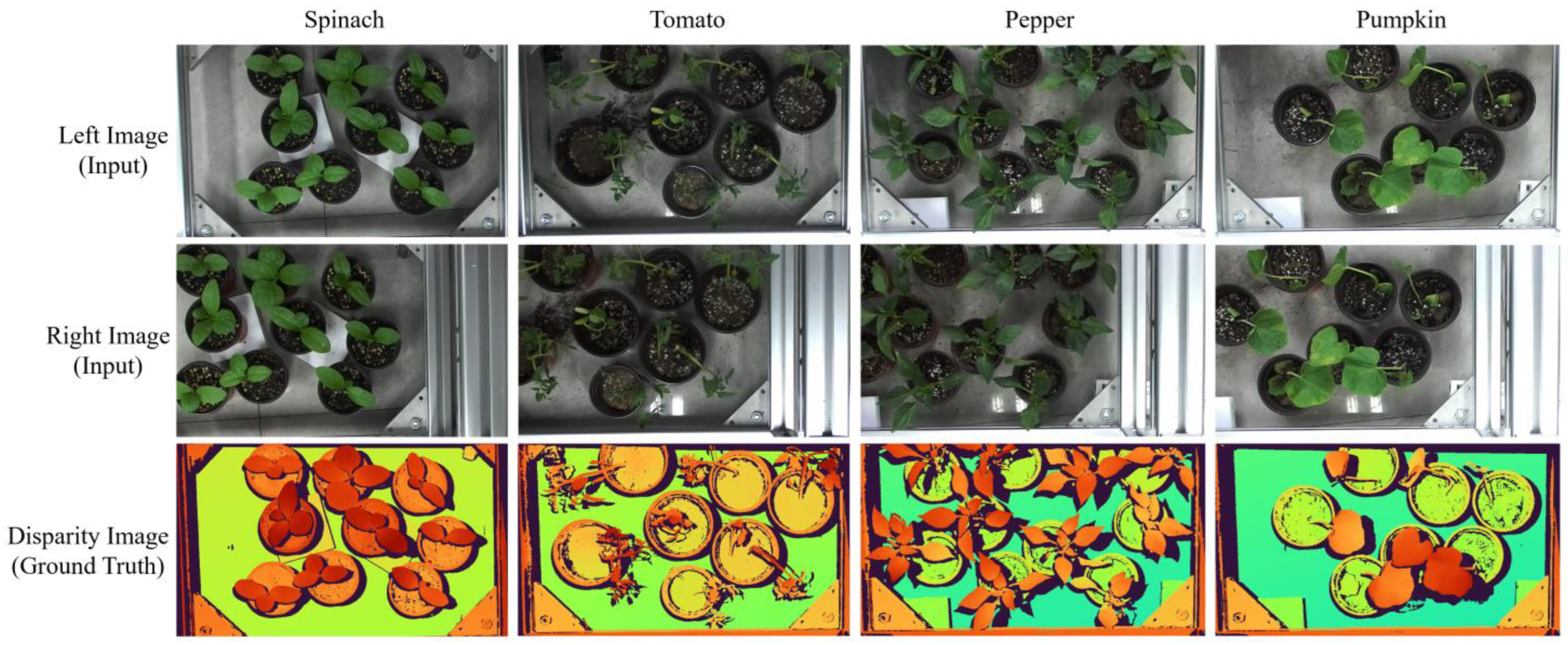 Agriculture 13 00330 g004 Agriculture 13 00330 g004