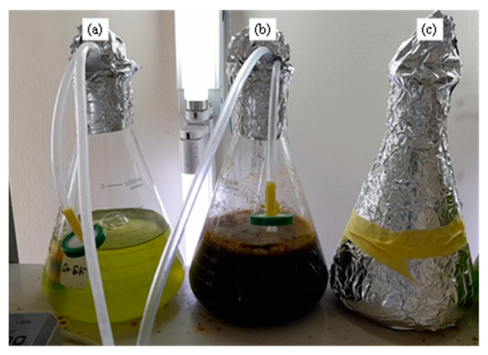 Agriculture 13 00336 g001