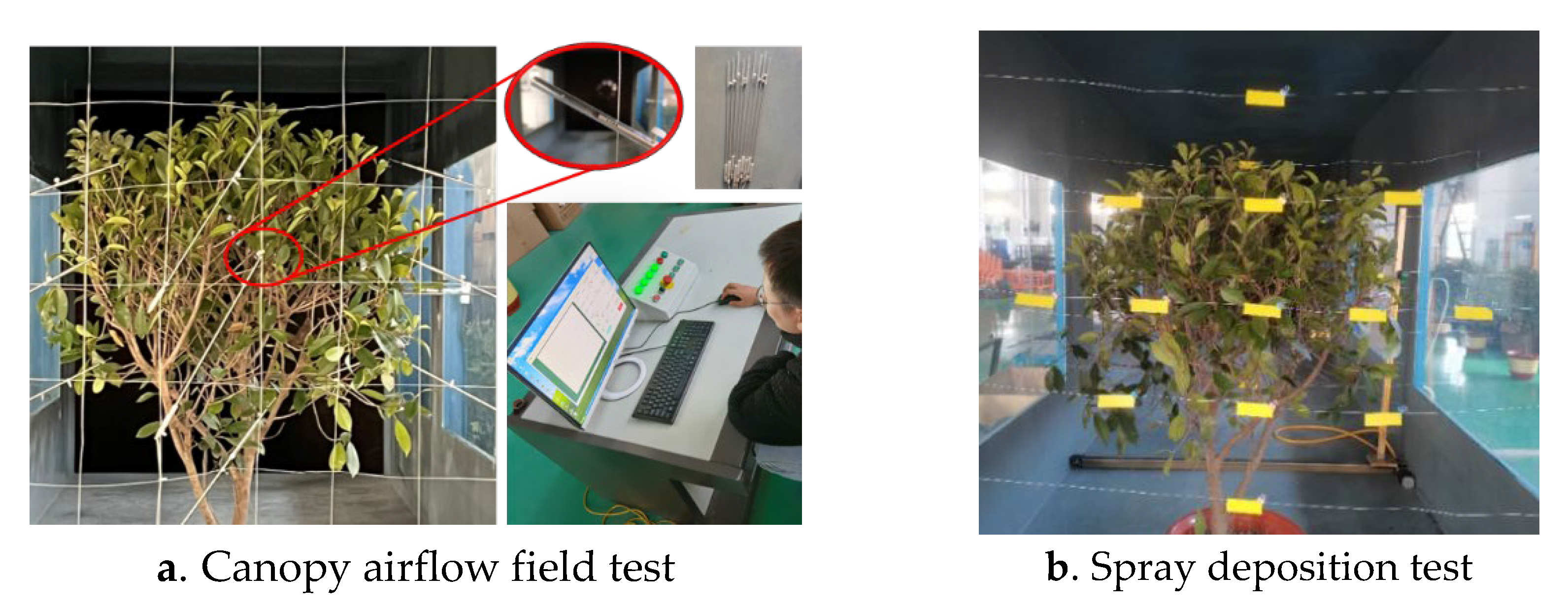 Agriculture 13 00339 g004 Agriculture 13 00339 g004