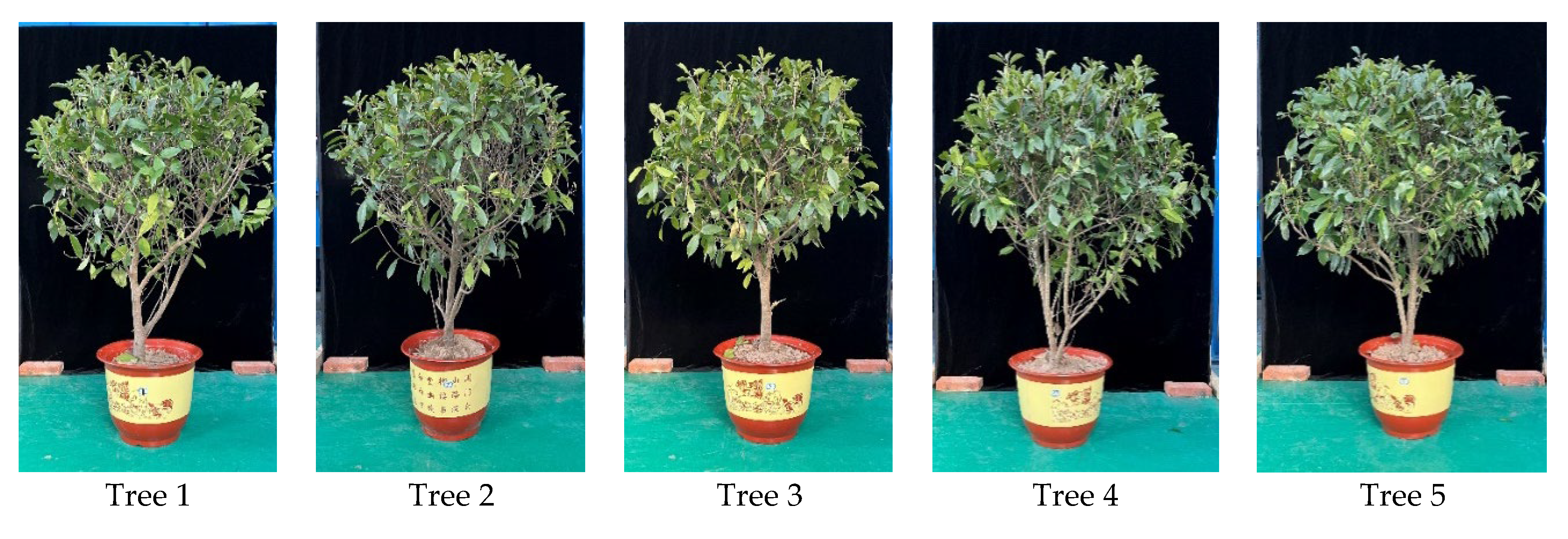 Agriculture 13 00339 g005 Agriculture 13 00339 g005