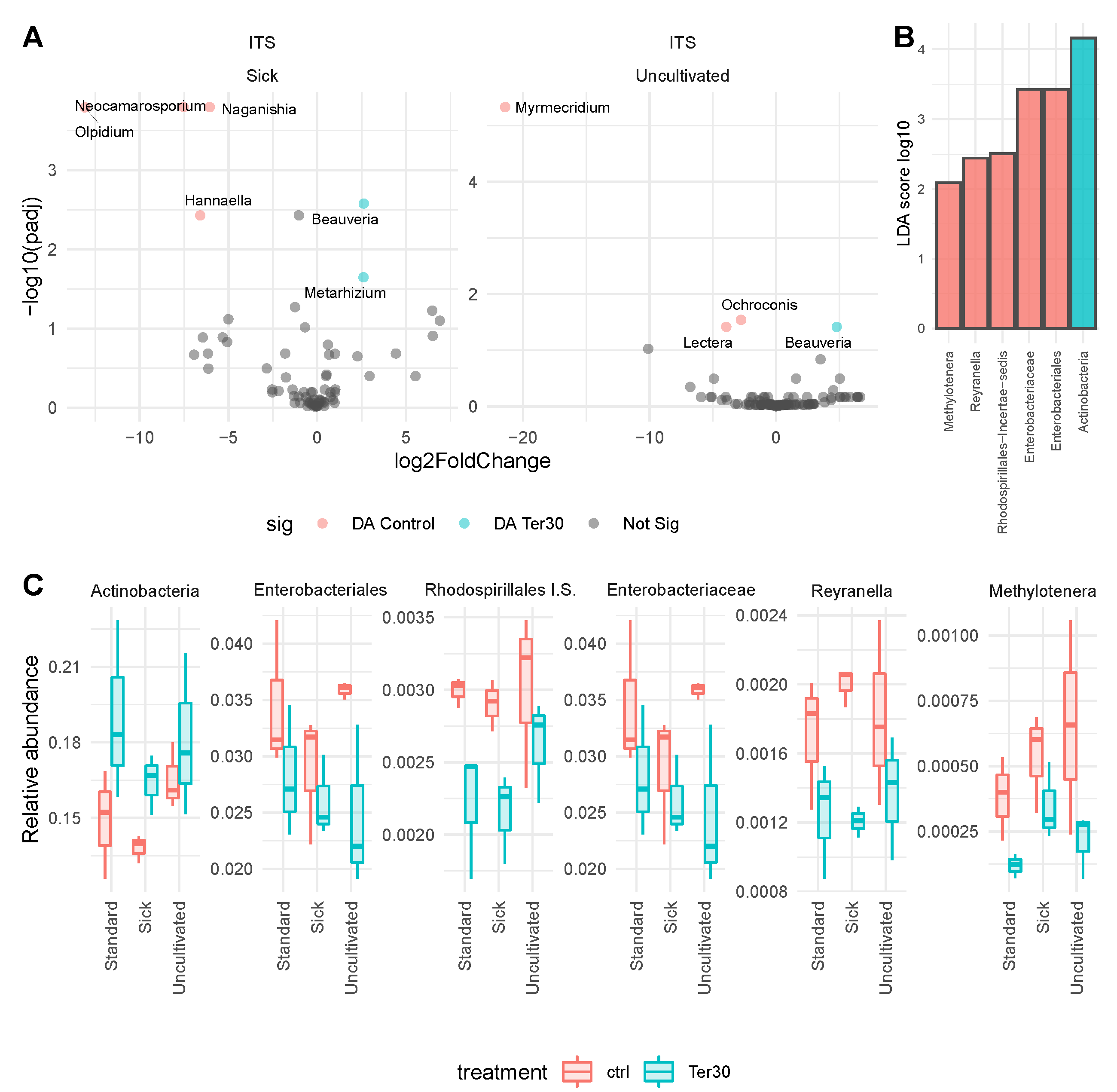 Agriculture 13 00344 g003 Agriculture 13 00344 g003