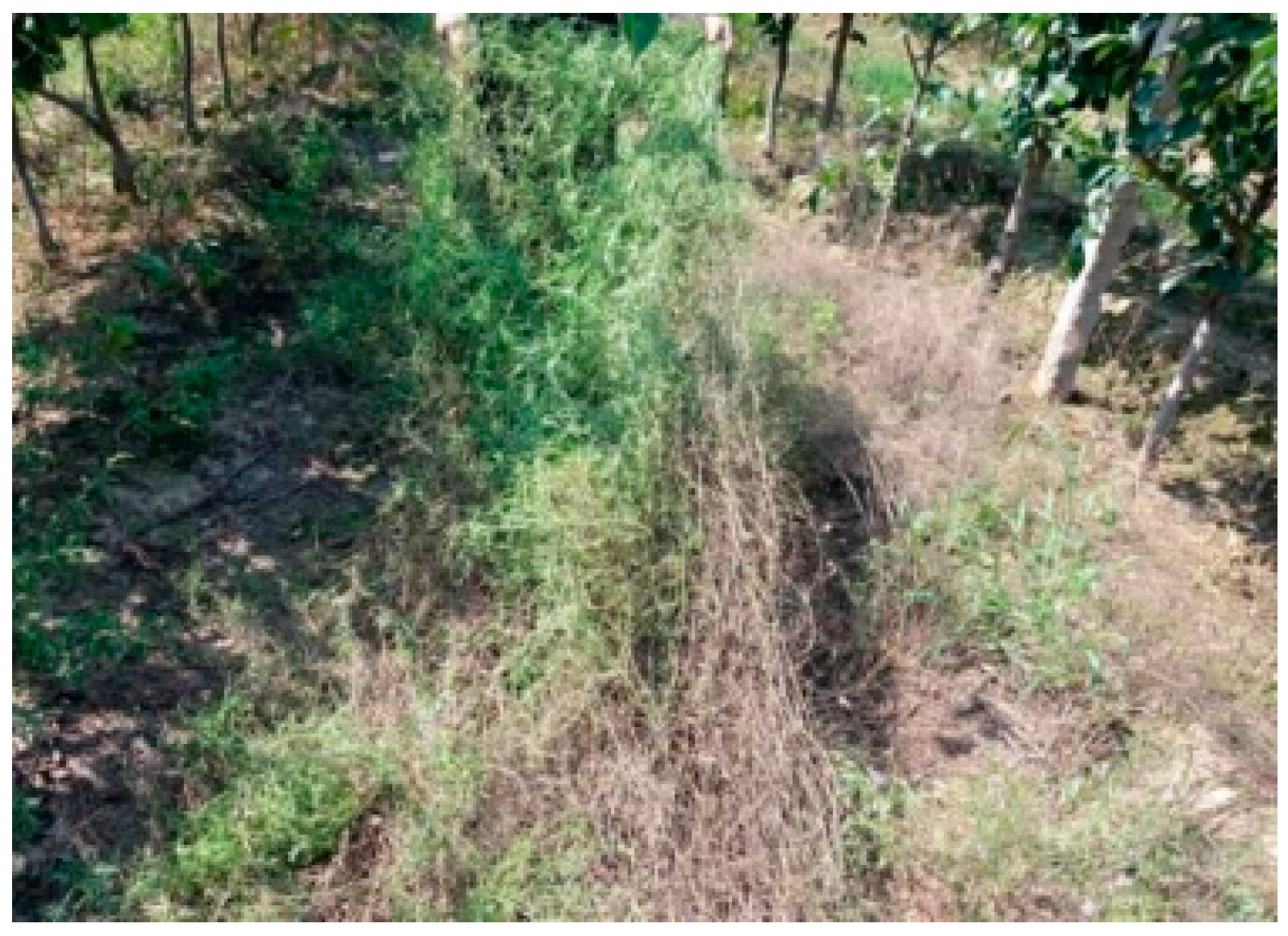 Agriculture 13 00345 g001