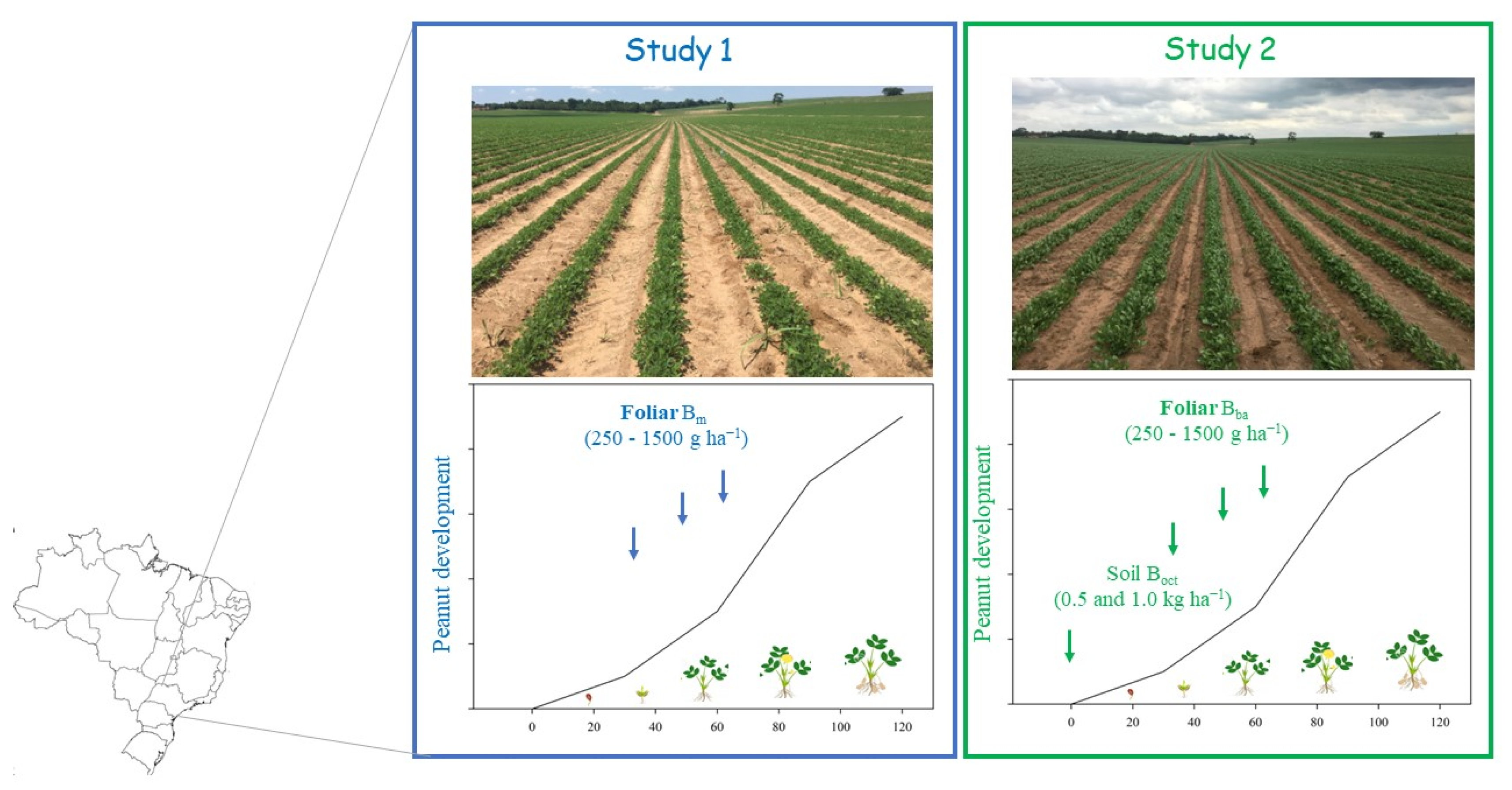 Agriculture 13 00347 g002