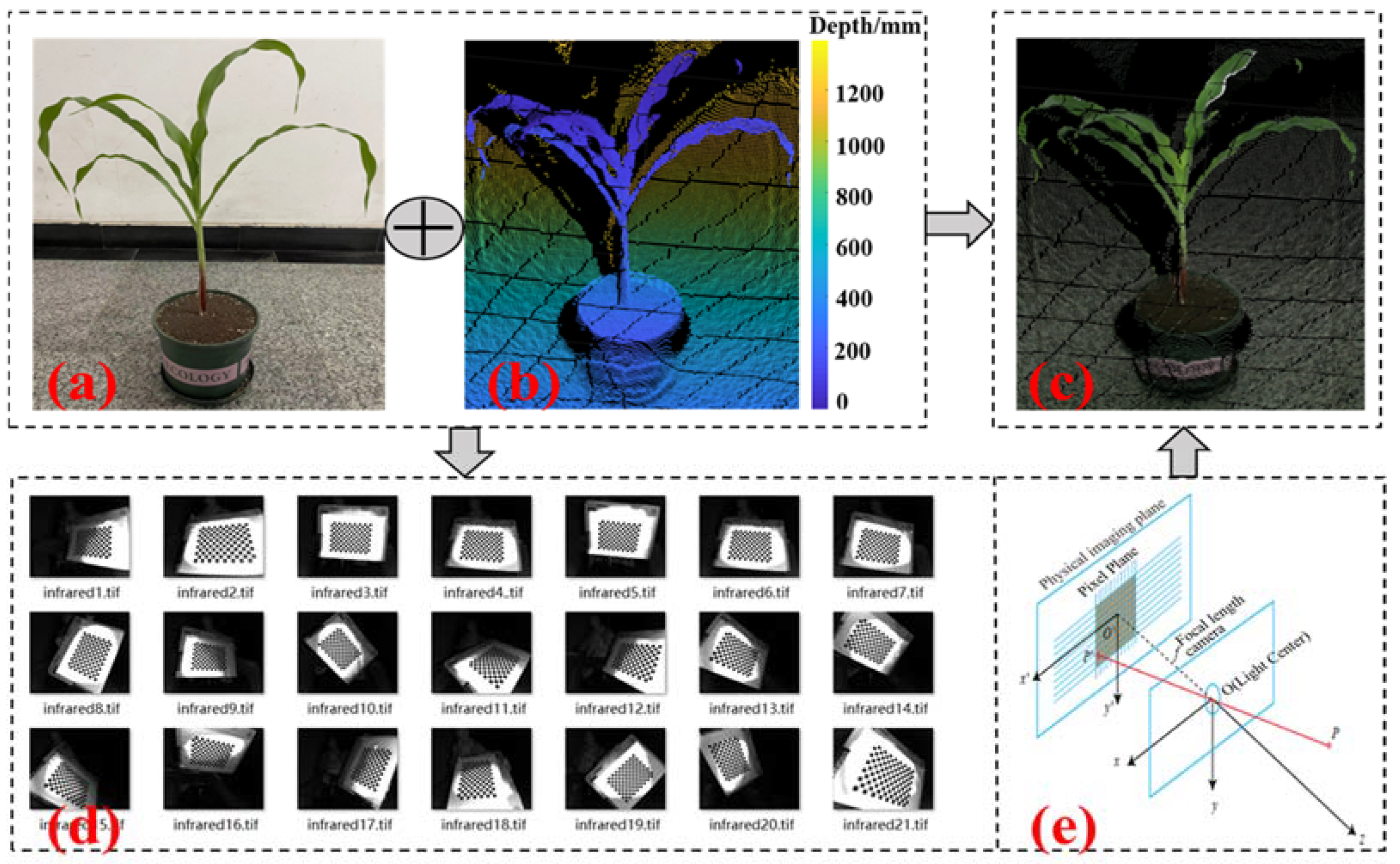 Agriculture 13 00348 g004 Agriculture 13 00348 g004