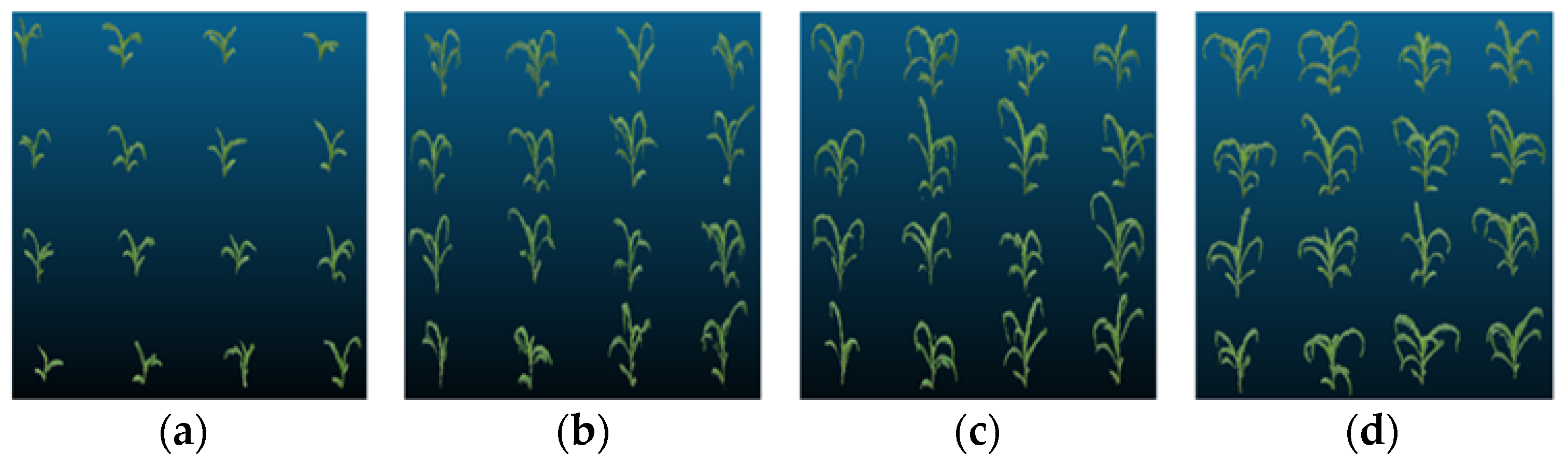 Agriculture 13 00348 g009 Agriculture 13 00348 g009