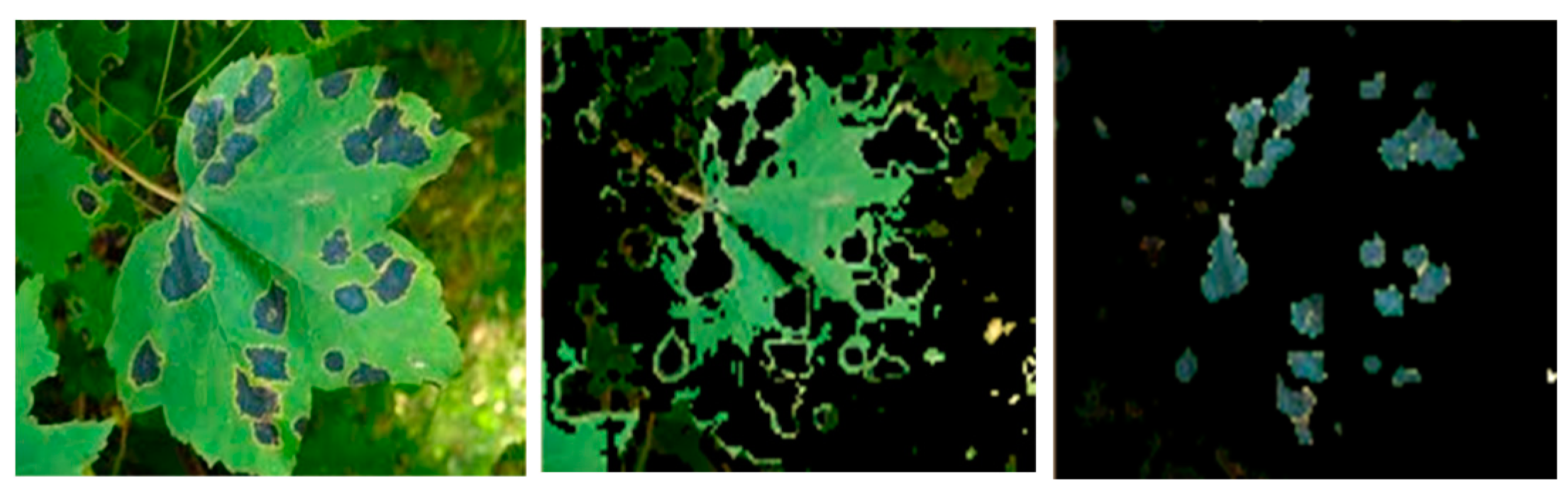 Agriculture 13 00352 g007 Agriculture 13 00352 g007