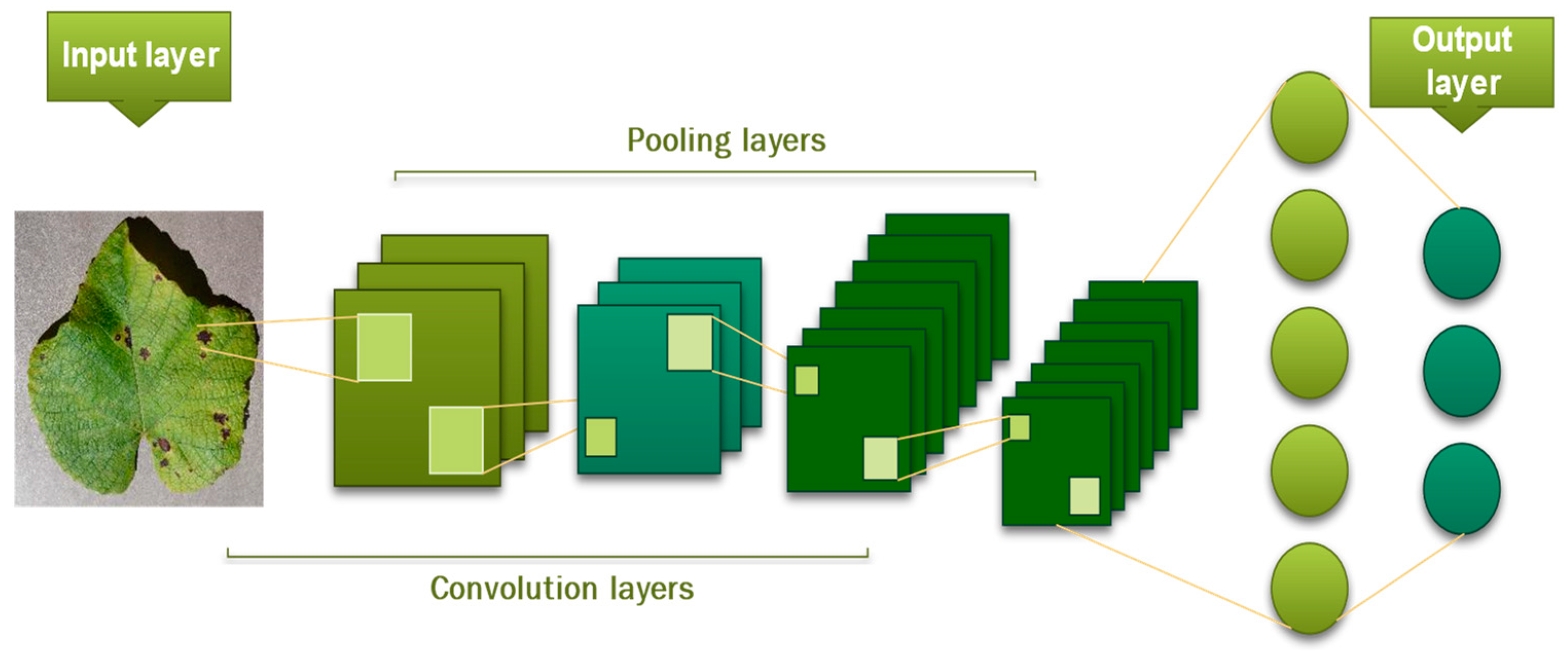 Agriculture 13 00352 g009 Agriculture 13 00352 g009