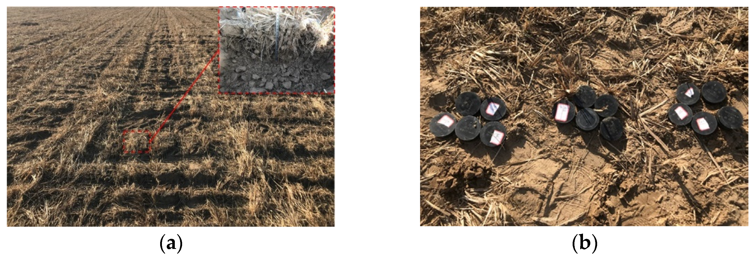 Agriculture 13 00358 g010 550