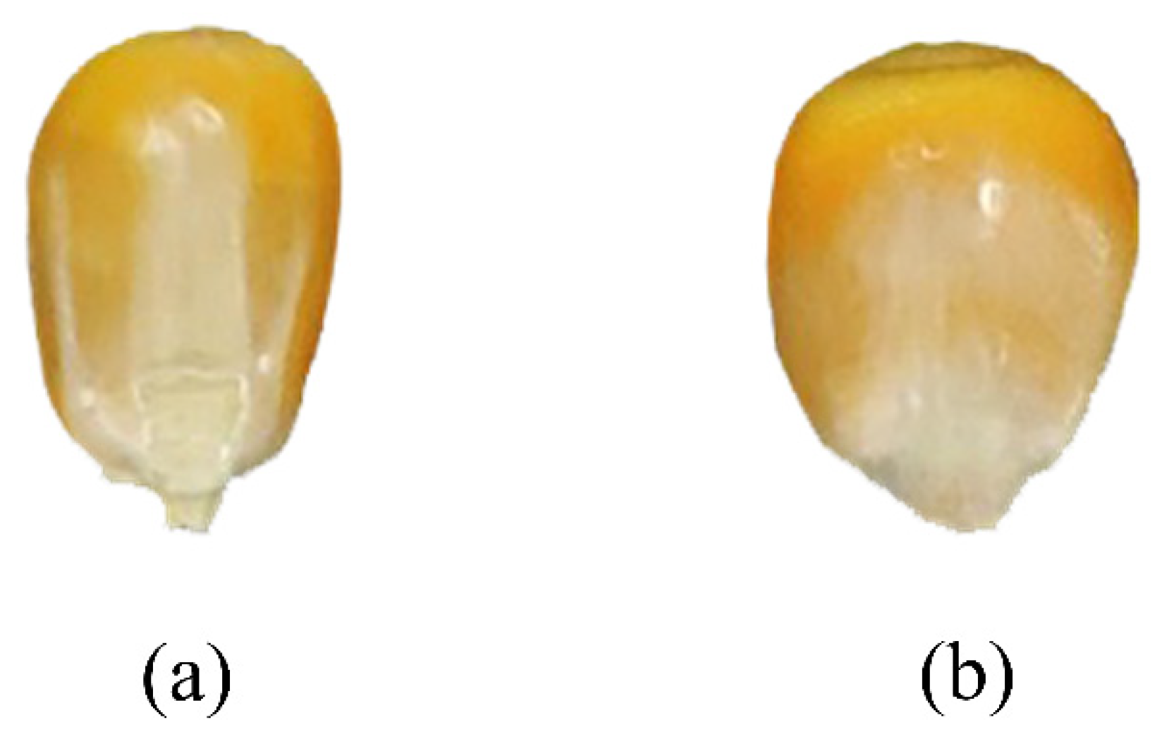 Agriculture 13 00359 g001