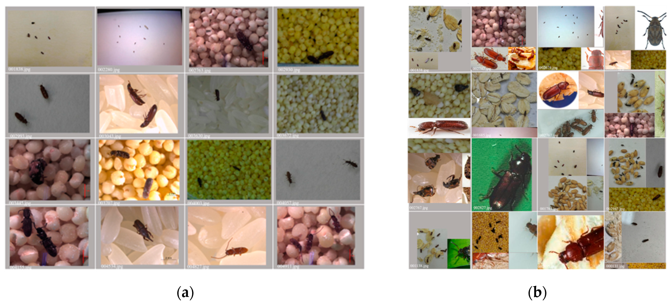 Agriculture 13 00364 g003