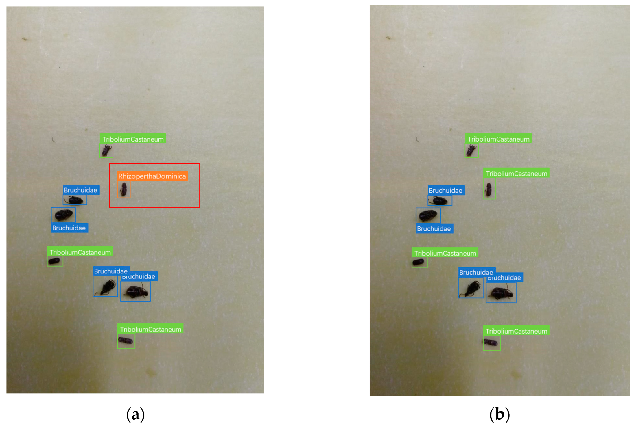 Agriculture 13 00364 g011