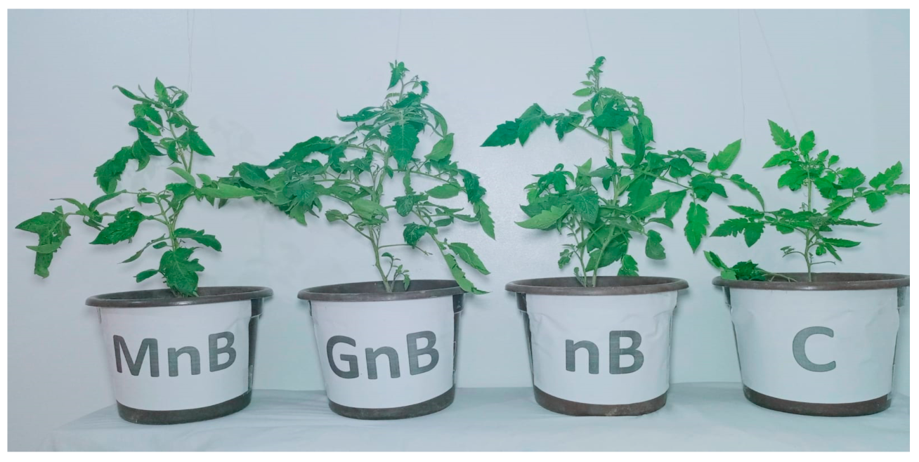 Agriculture 13 00366 g001 Agriculture 13 00366 g001