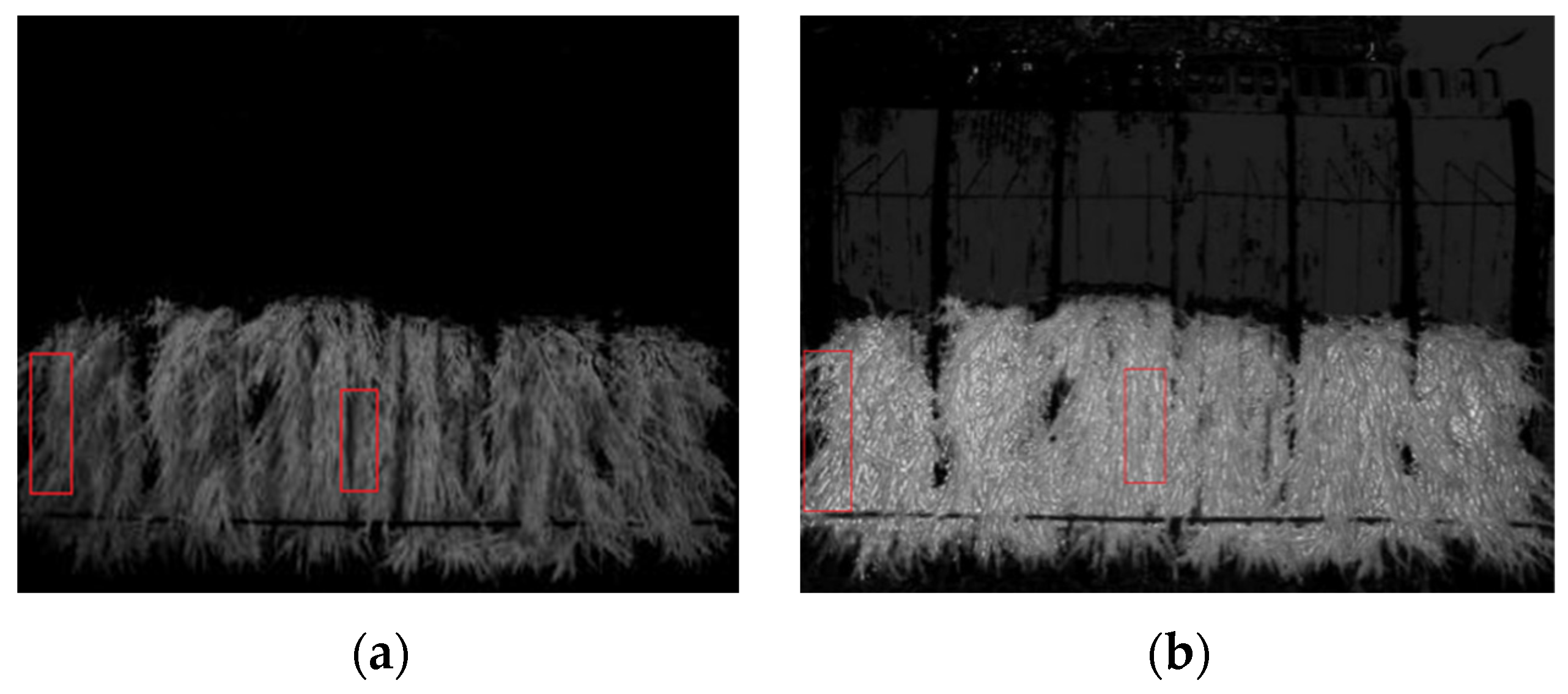 Agriculture 13 00371 g009