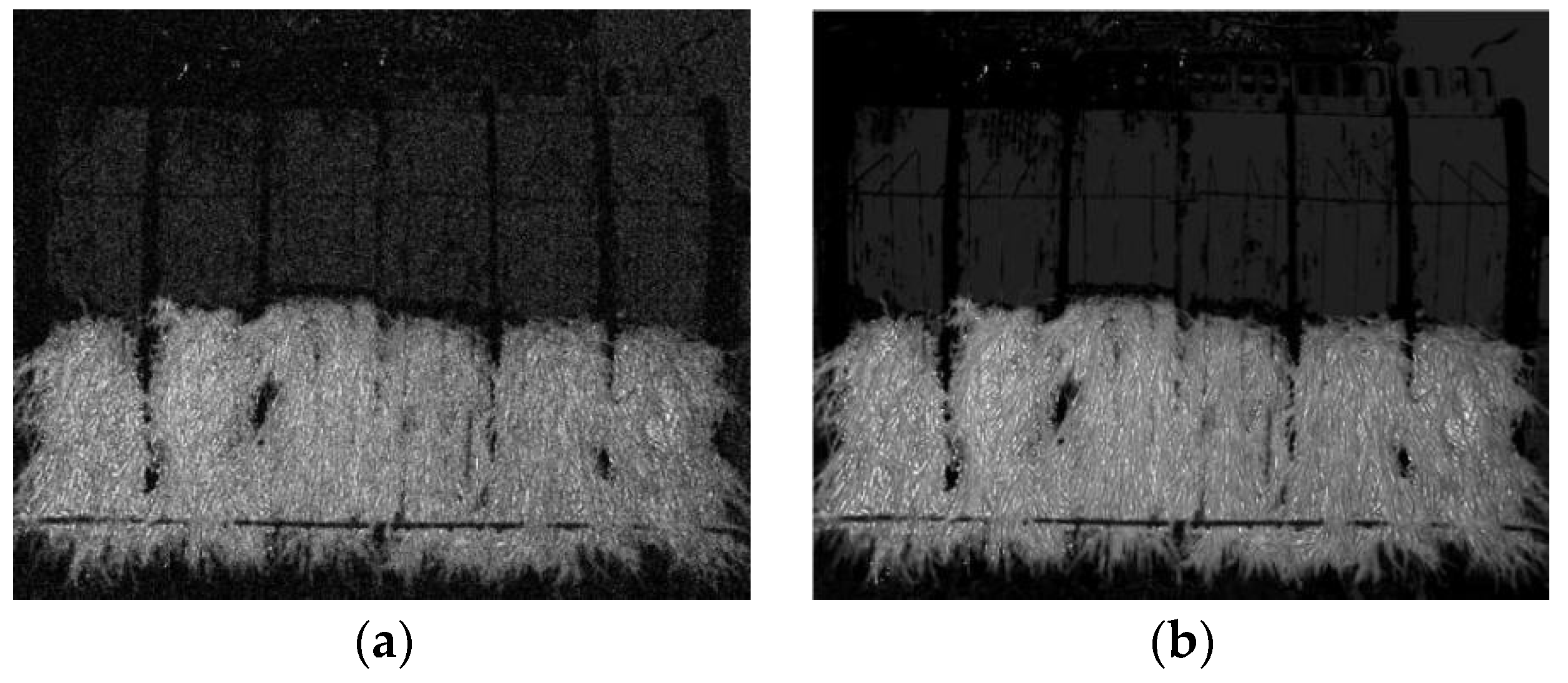 Agriculture 13 00371 g011