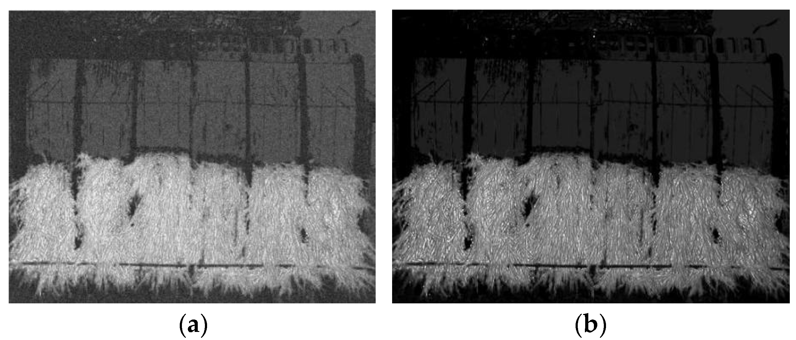 Agriculture 13 00371 g012