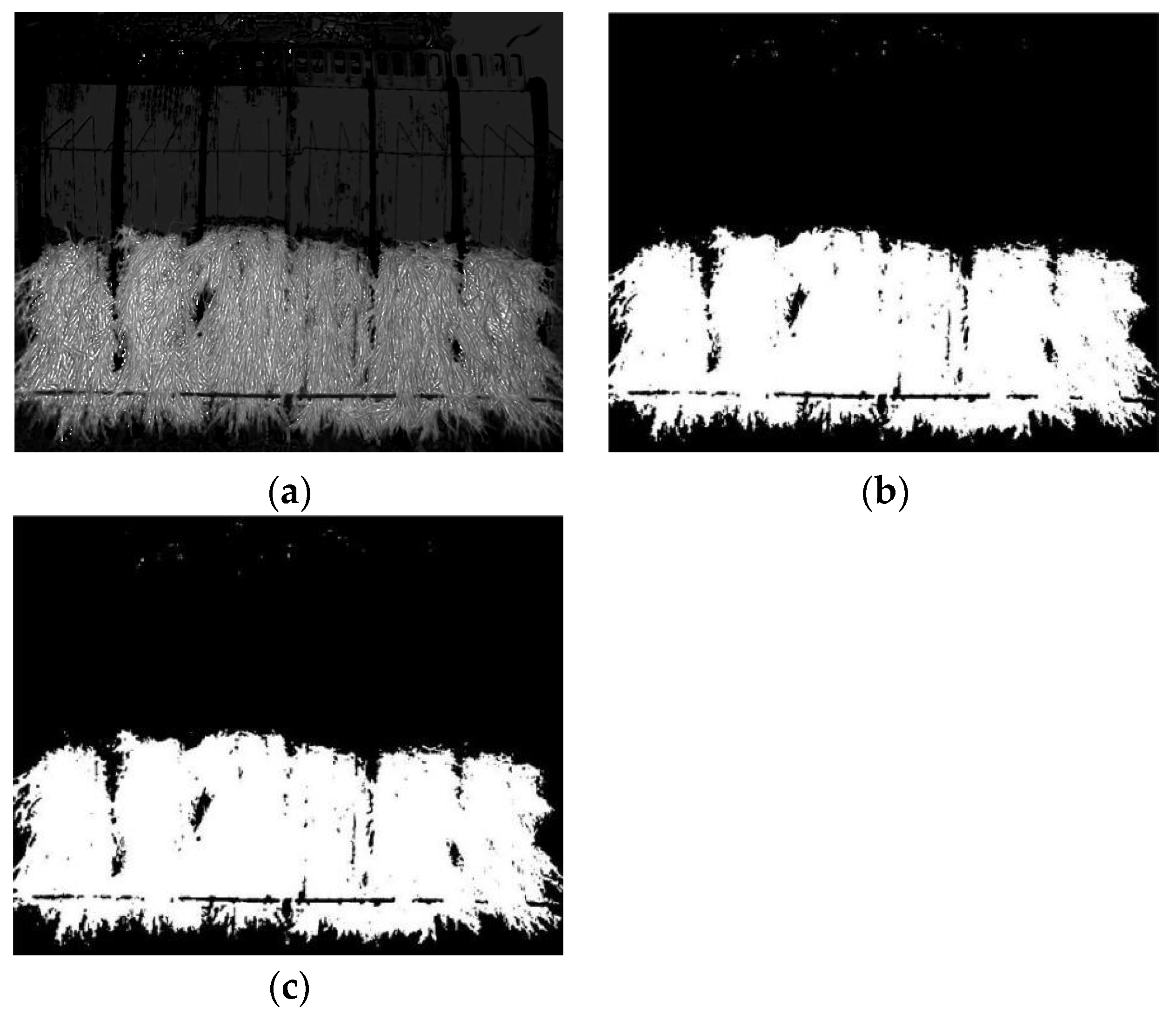 Agriculture 13 00371 g013