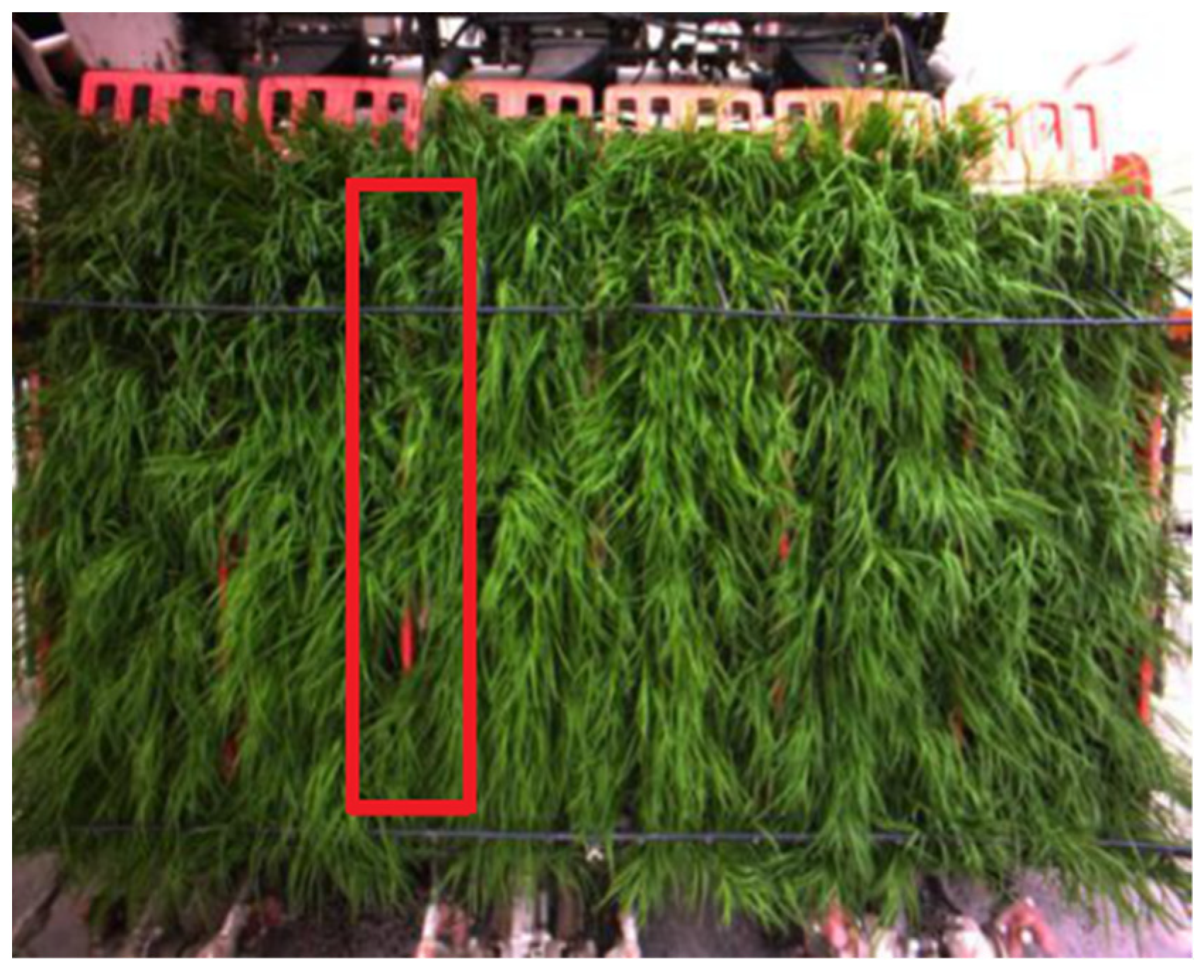 Agriculture 13 00371 g014