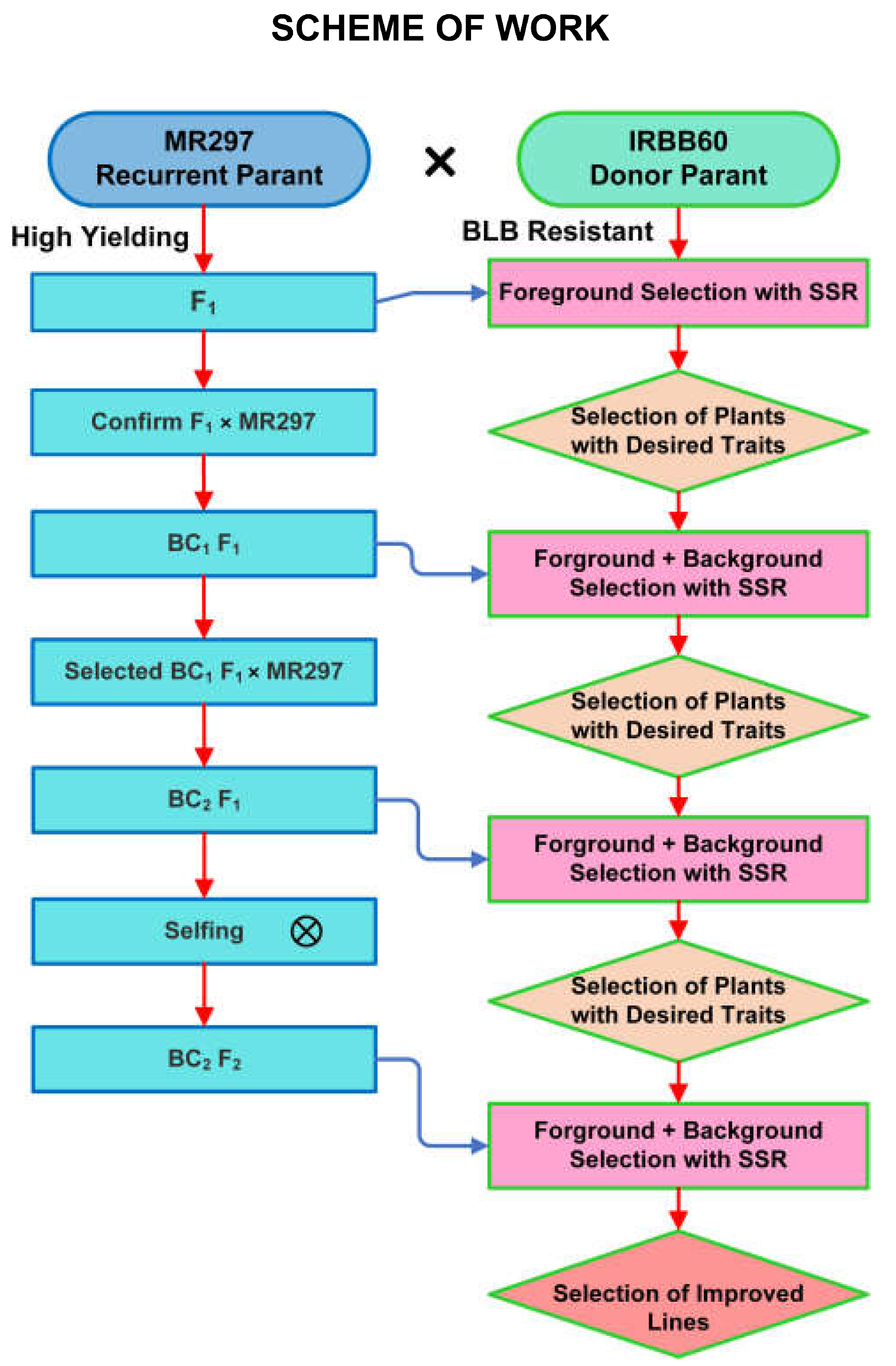 Agriculture 13 00372 g001 Agriculture 13 00372 g001