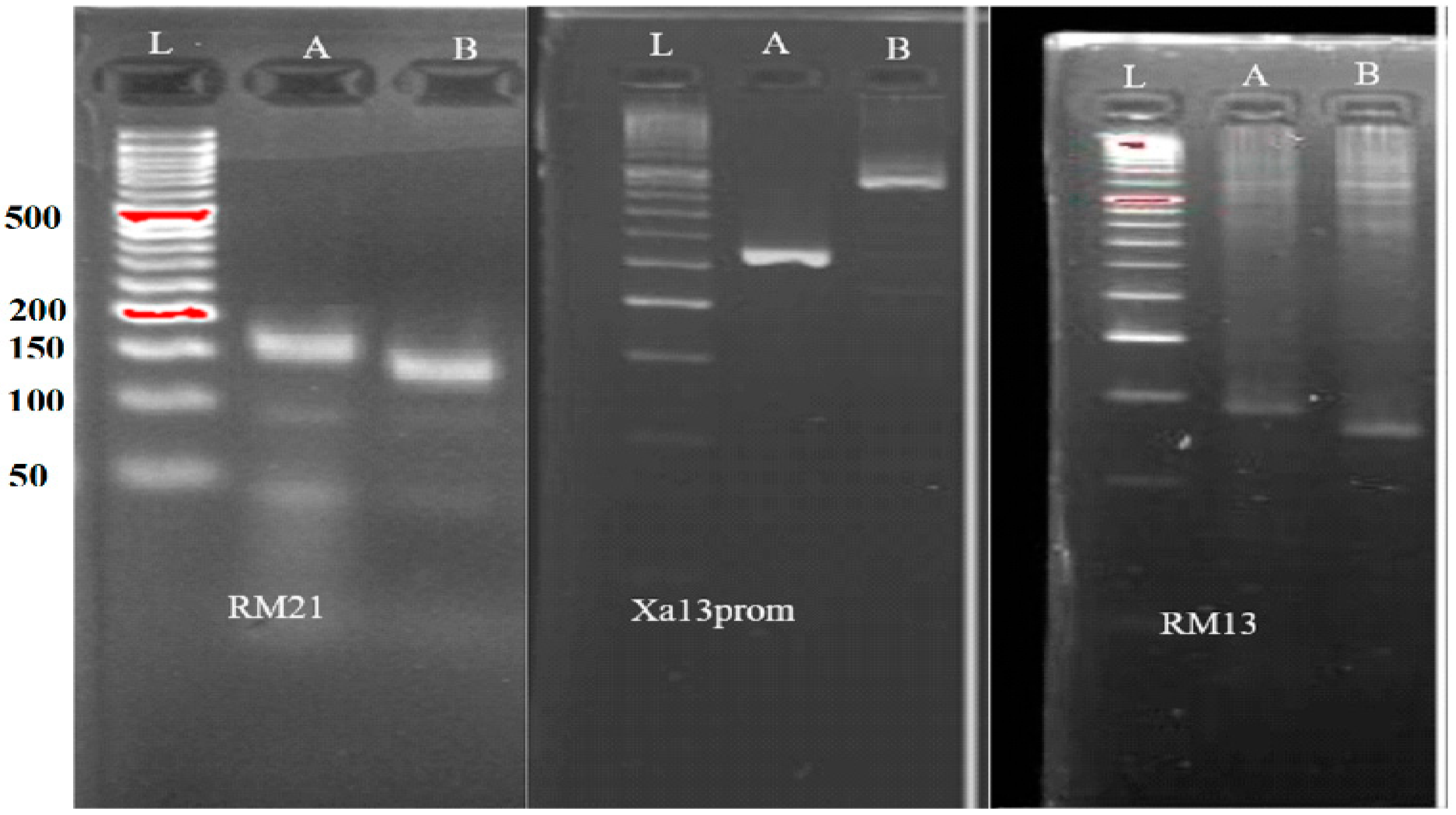 Agriculture 13 00372 g002 Agriculture 13 00372 g002