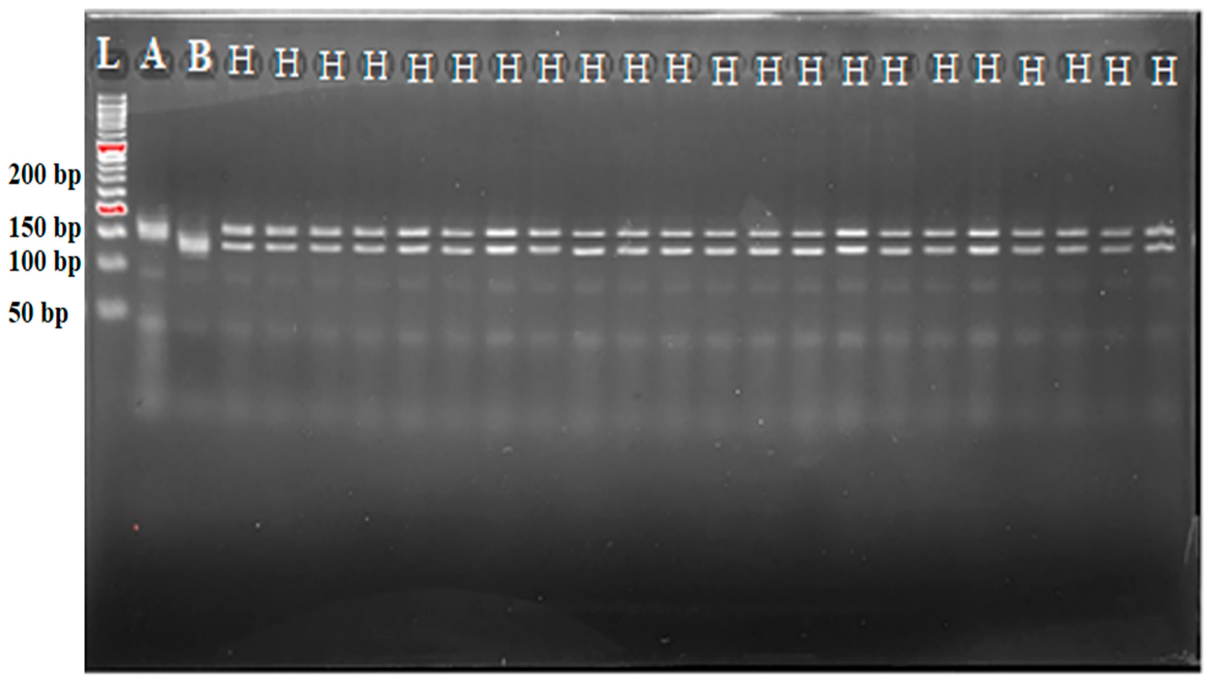 Agriculture 13 00372 g004 Agriculture 13 00372 g004