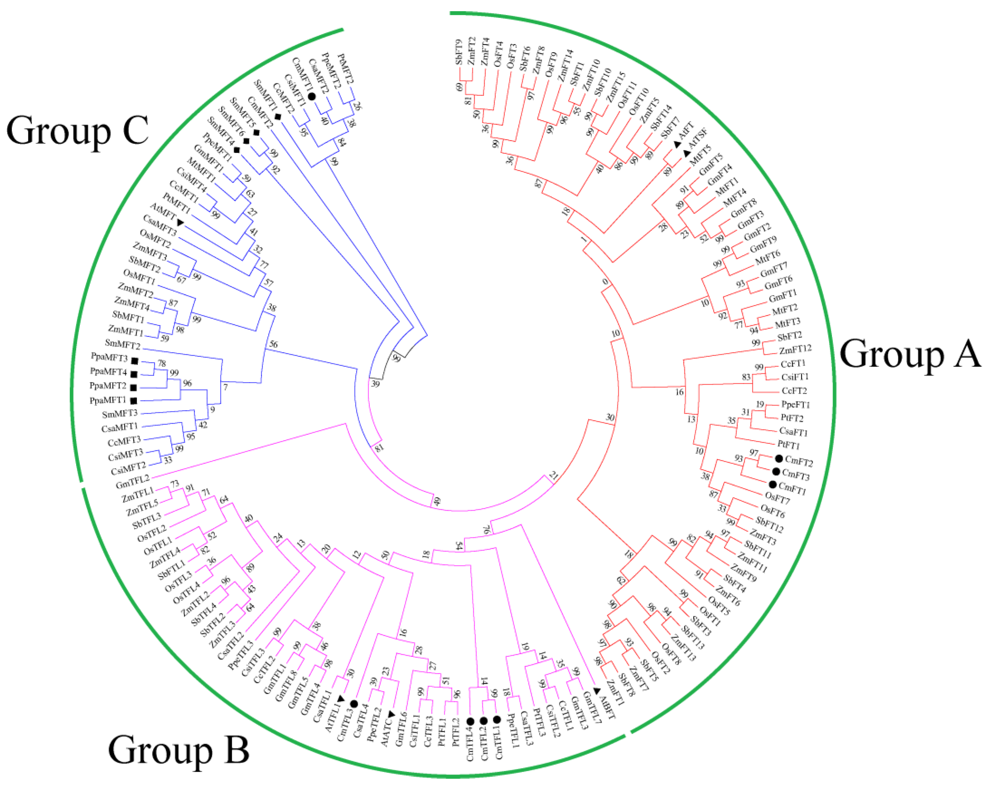 Agriculture 13 00374 g001 Agriculture 13 00374 g001