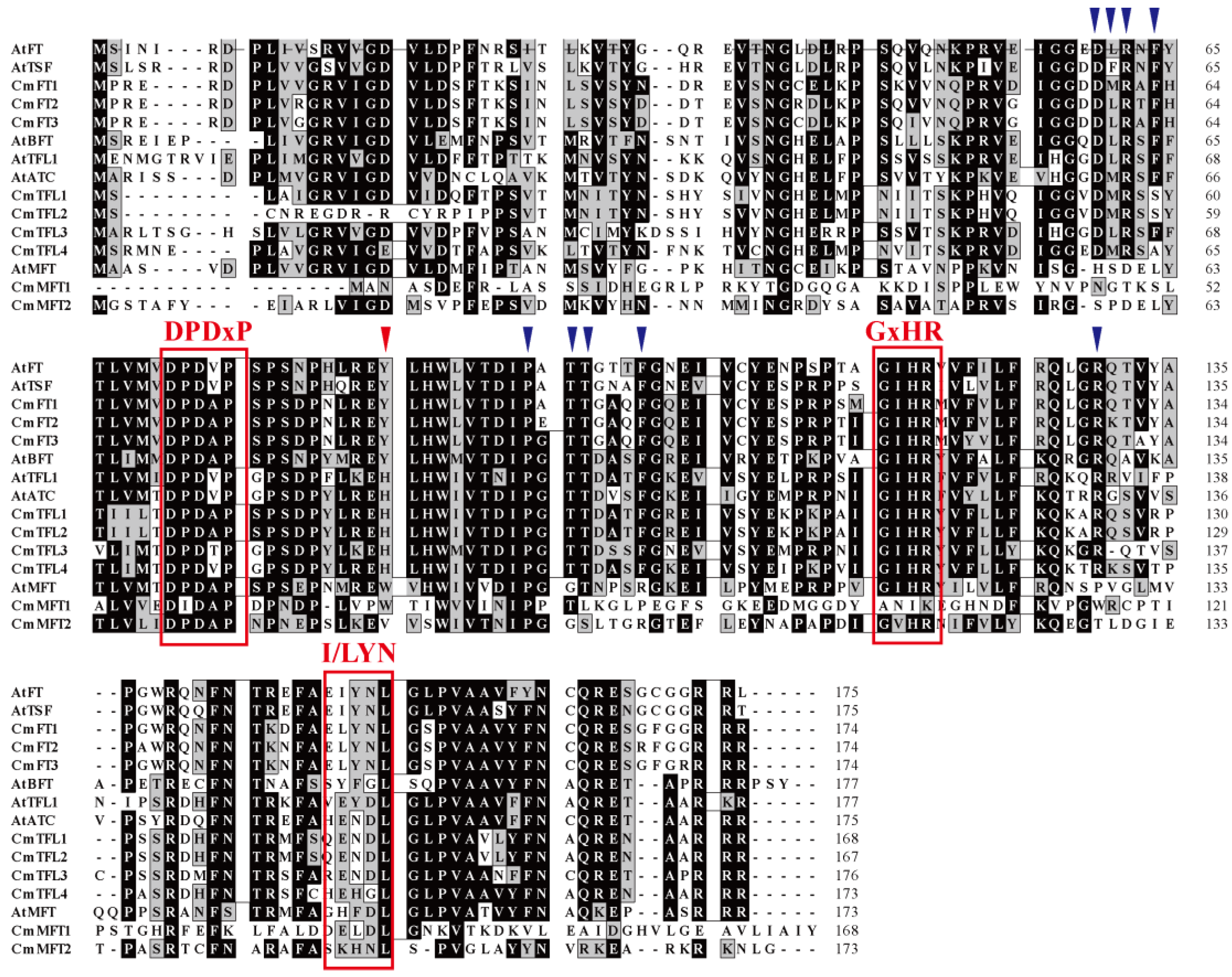 Agriculture 13 00374 g002 Agriculture 13 00374 g002