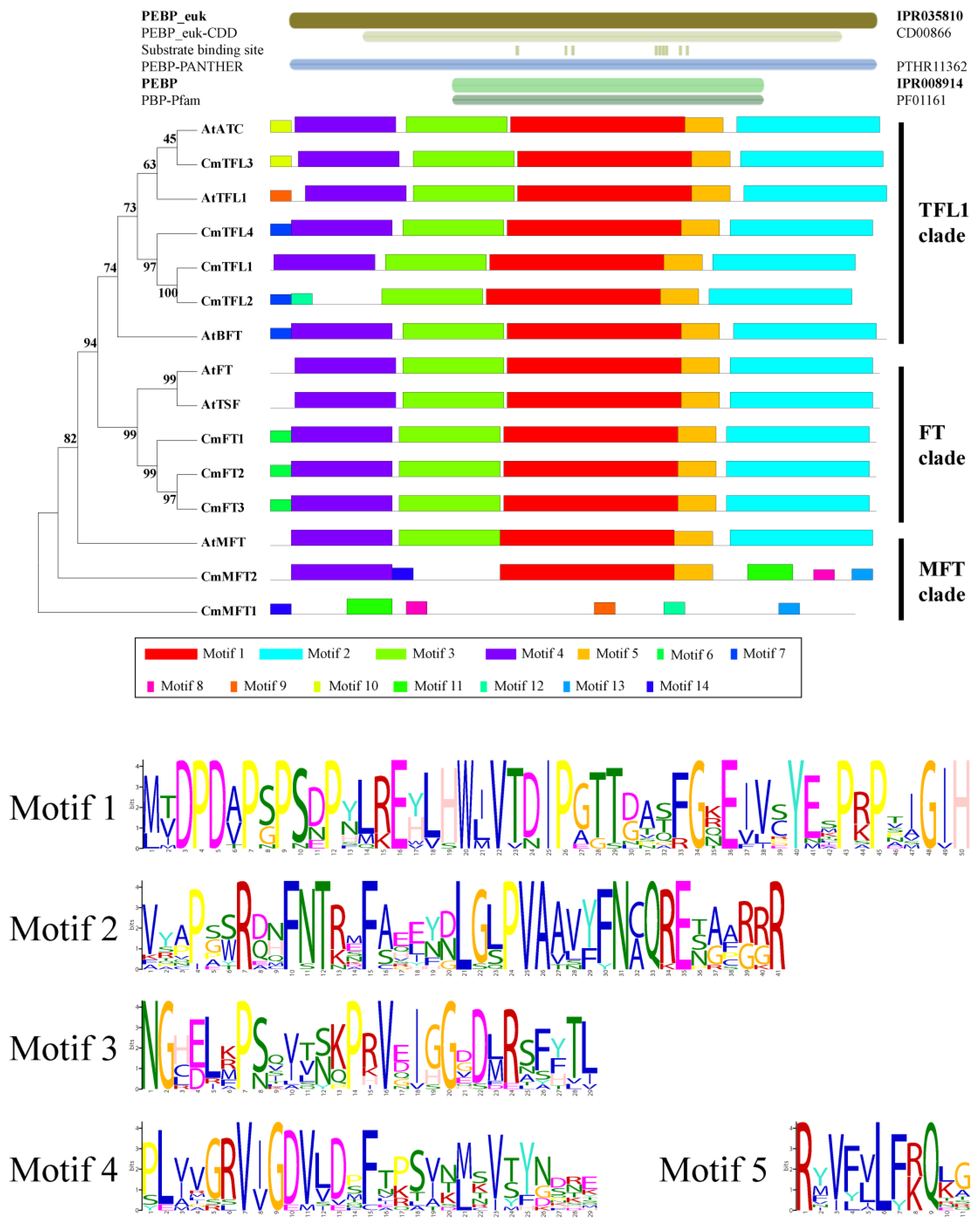 Agriculture 13 00374 g003 Agriculture 13 00374 g003