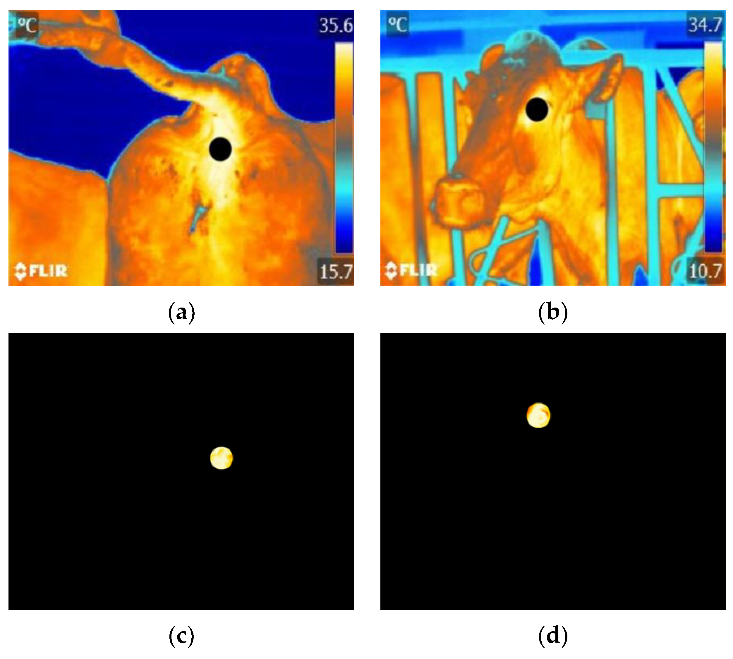 Agriculture 13 00385 g009
