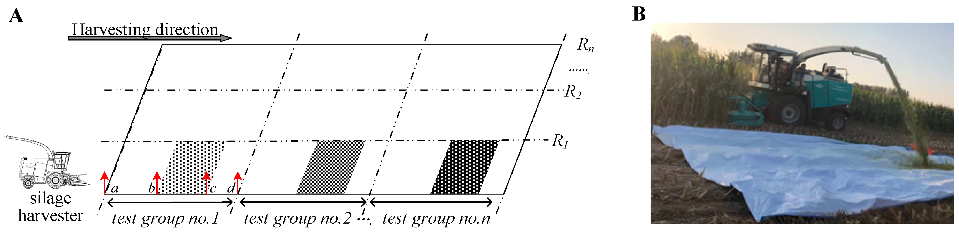 Agriculture 13 00391 g005