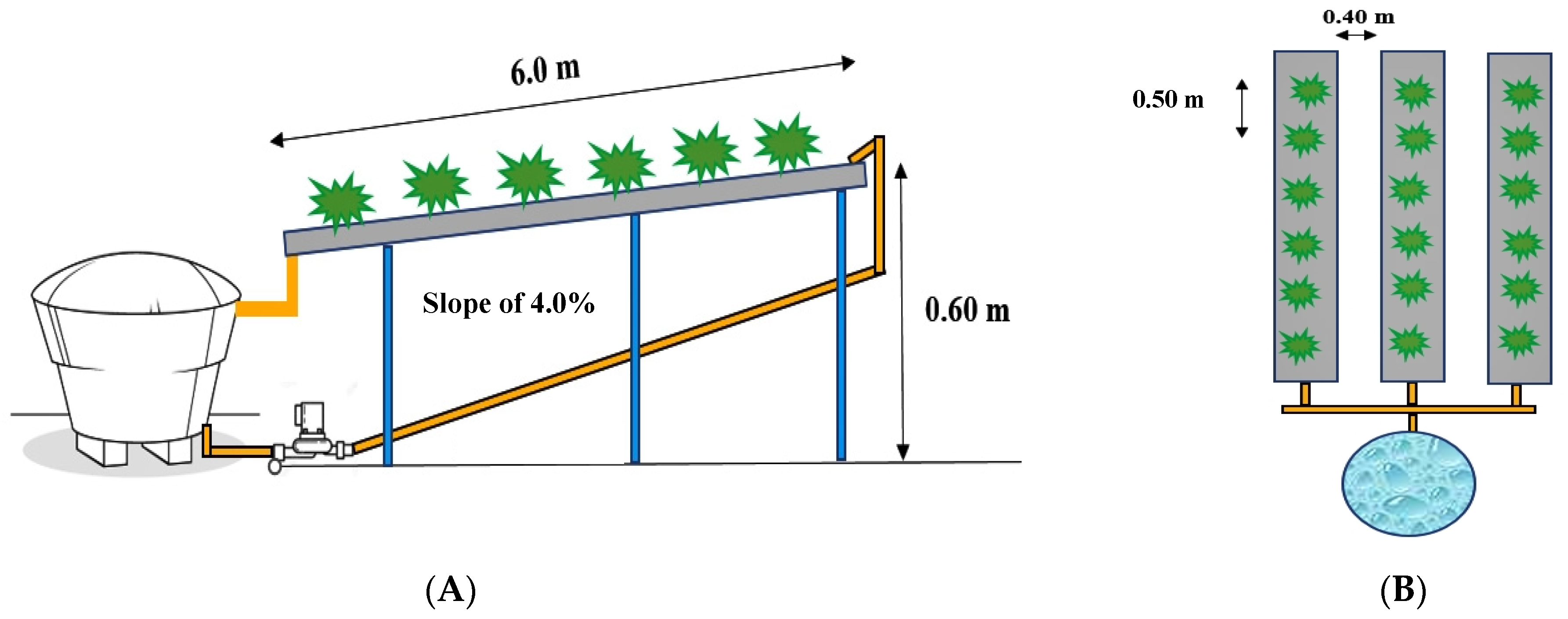 Agriculture 13 00395 g002 Agriculture 13 00395 g002