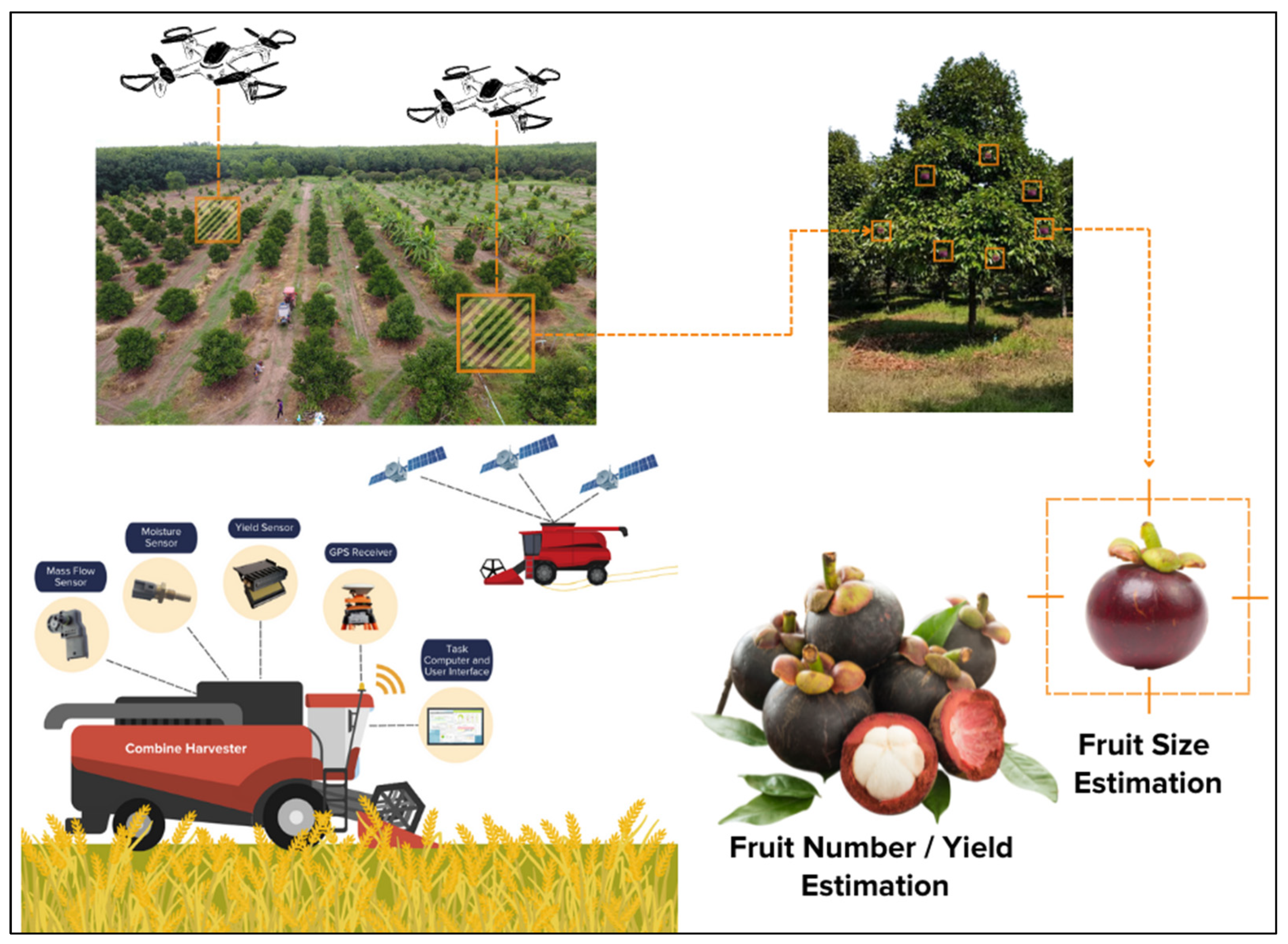 Agriculture 13 00397 g004