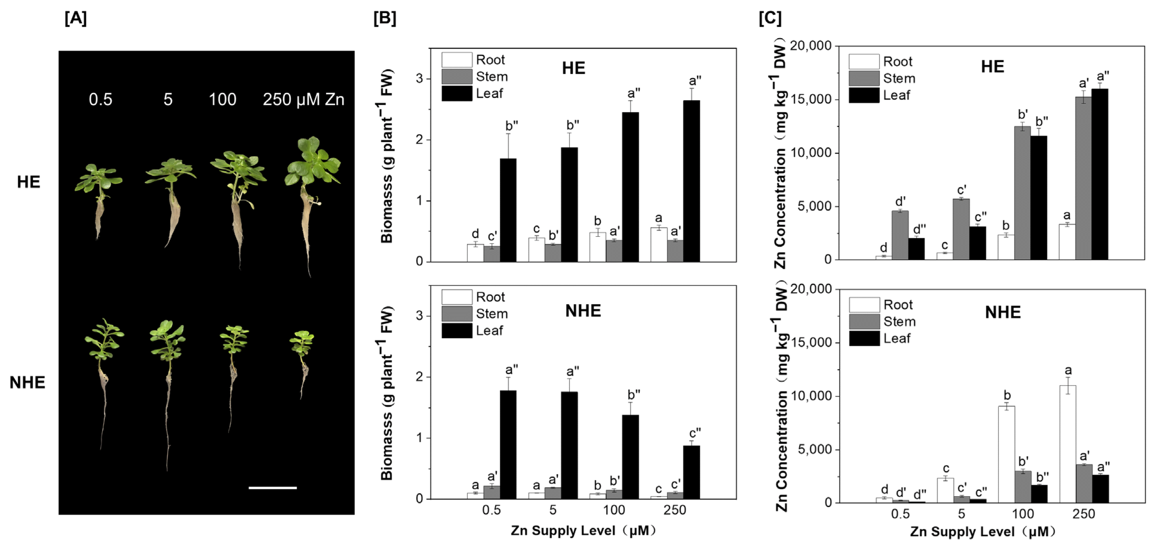 Agriculture 13 00400 g001 Agriculture 13 00400 g001
