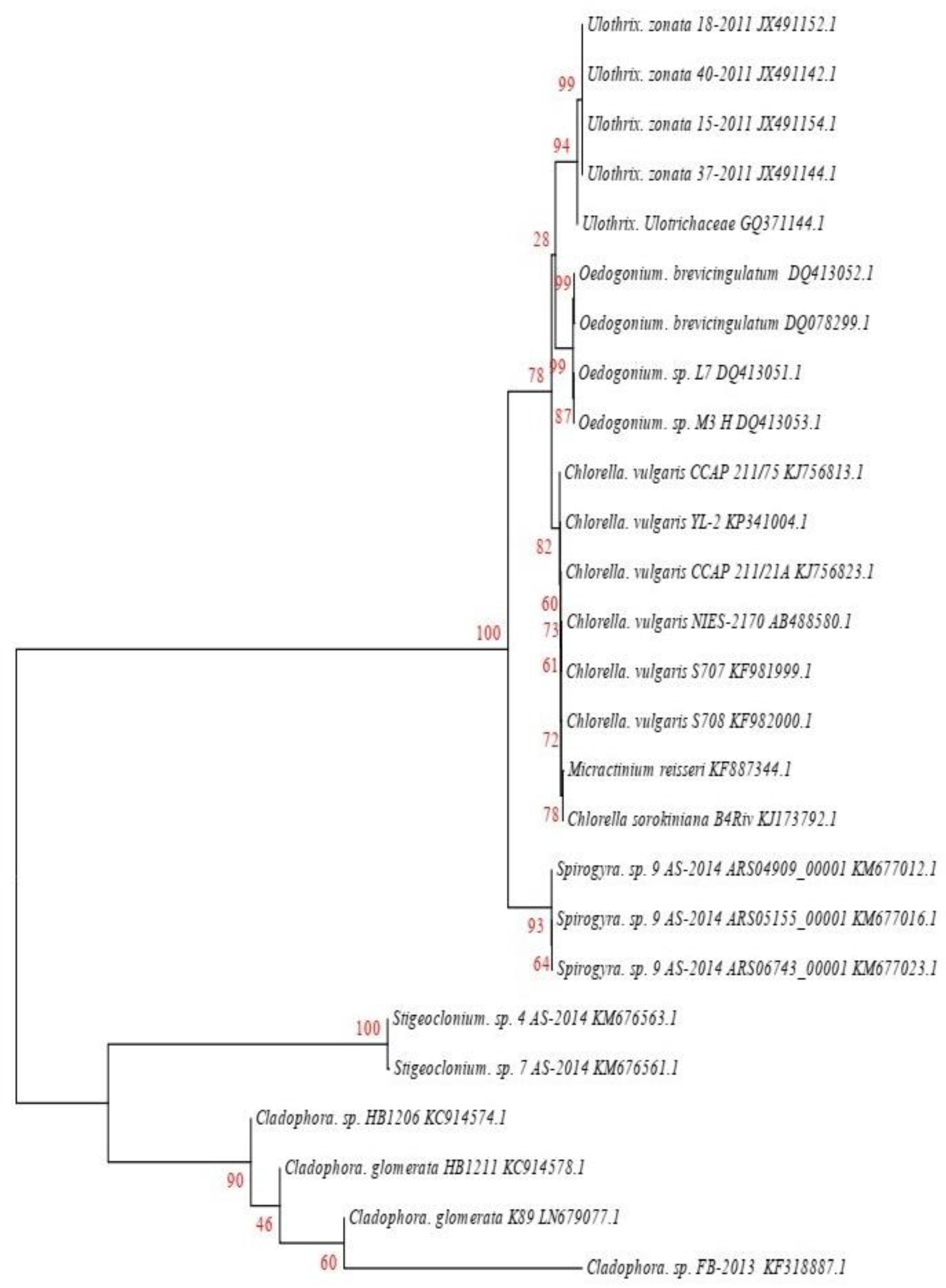 Agriculture 13 00407 g002 Agriculture 13 00407 g002