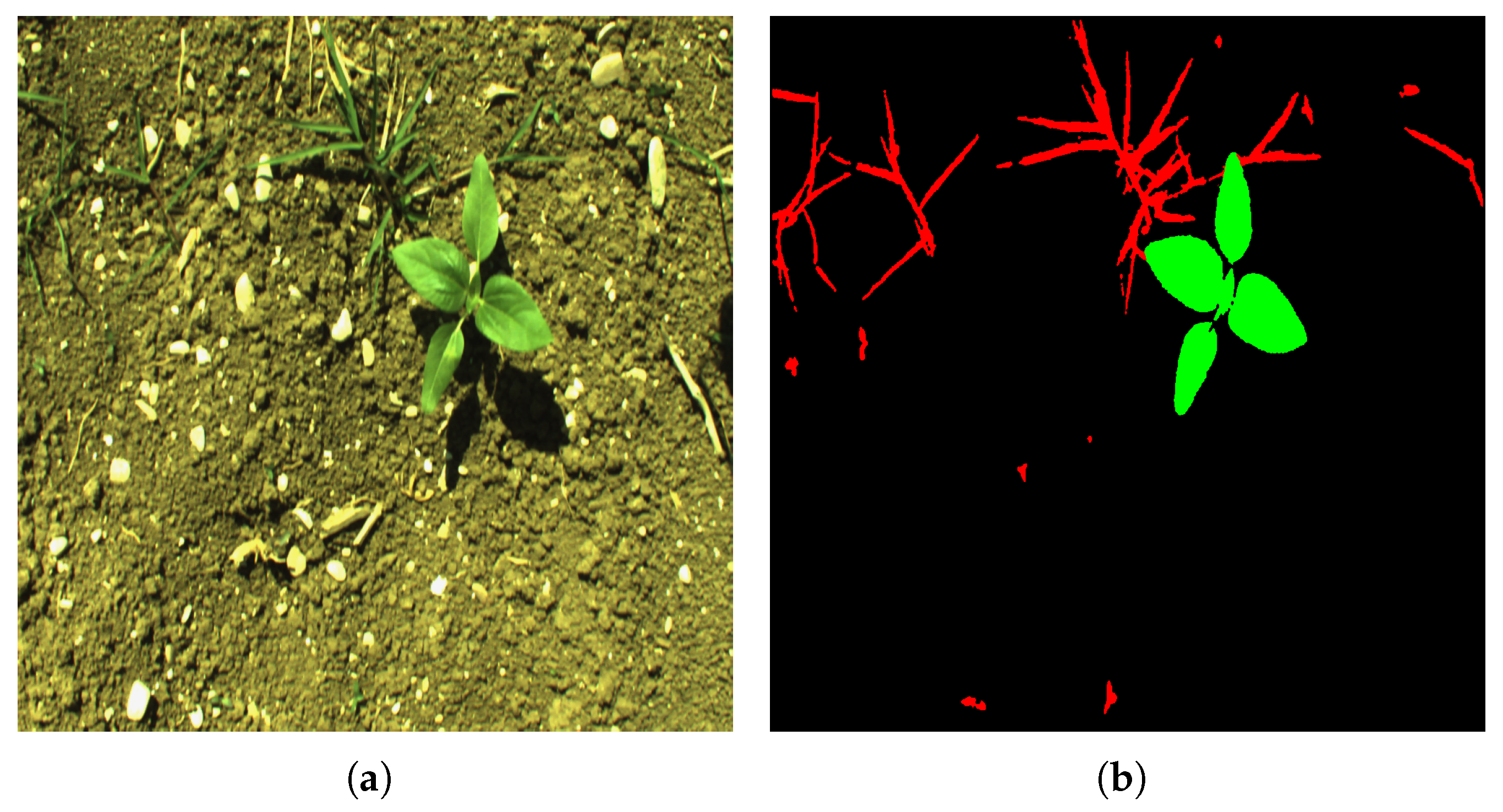 Agriculture 13 00413 g005