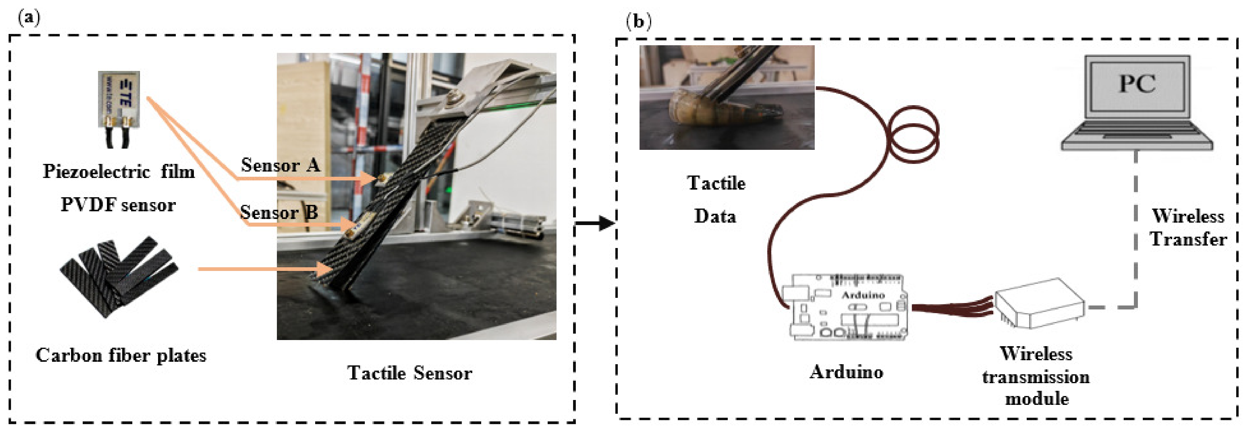 Agriculture 13 00422 g001 Agriculture 13 00422 g001