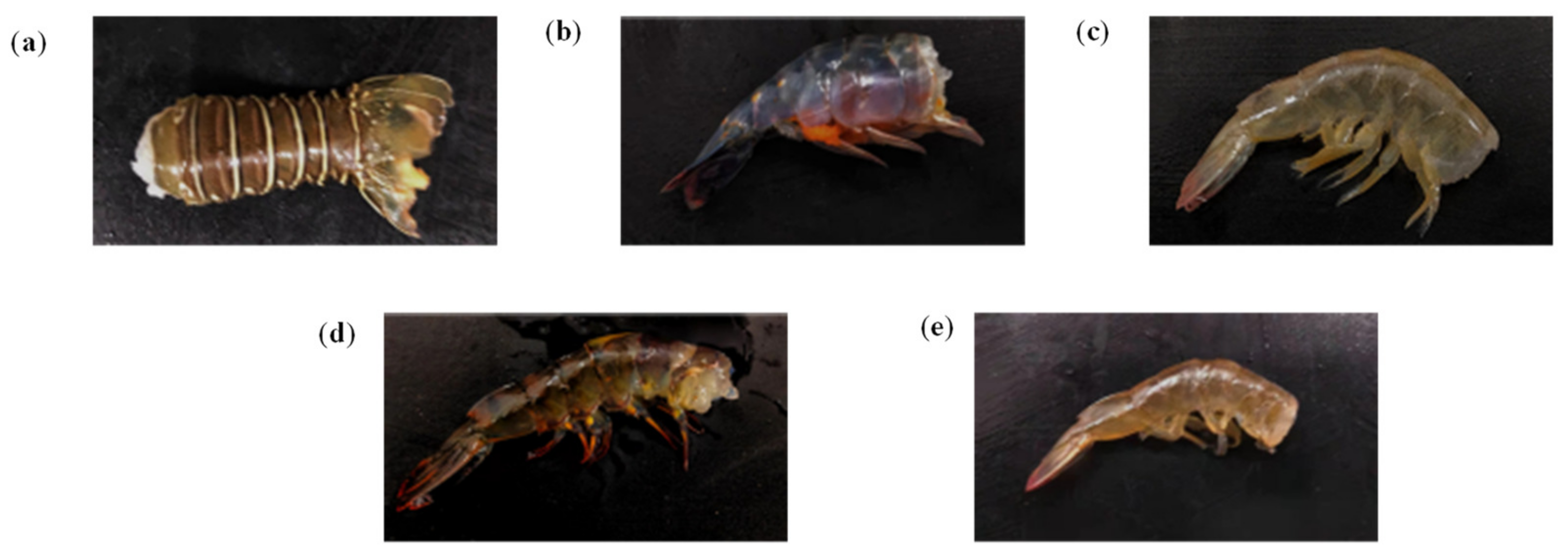 Agriculture 13 00422 g008 Agriculture 13 00422 g008