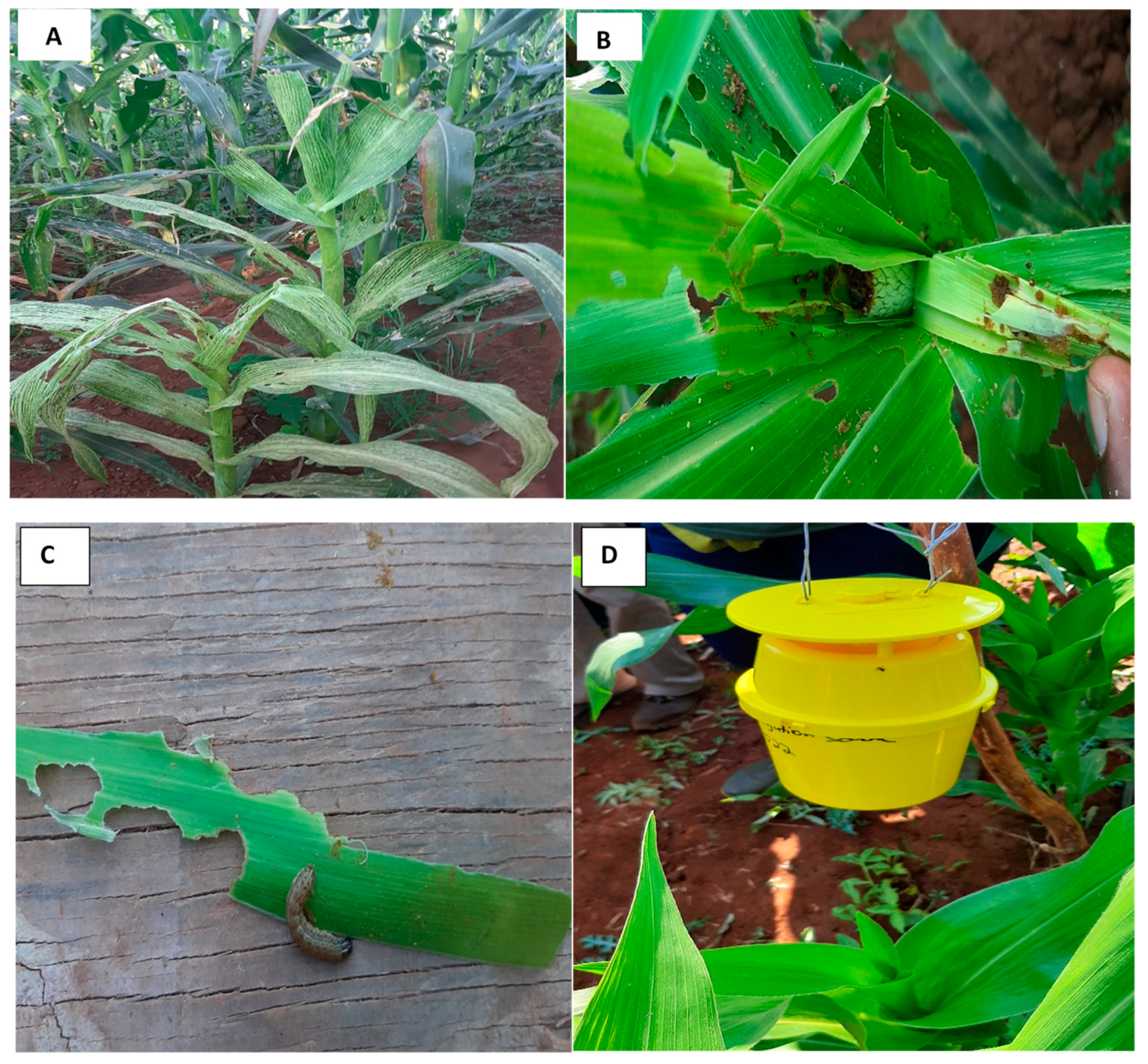 Agriculture 13 00428 g002